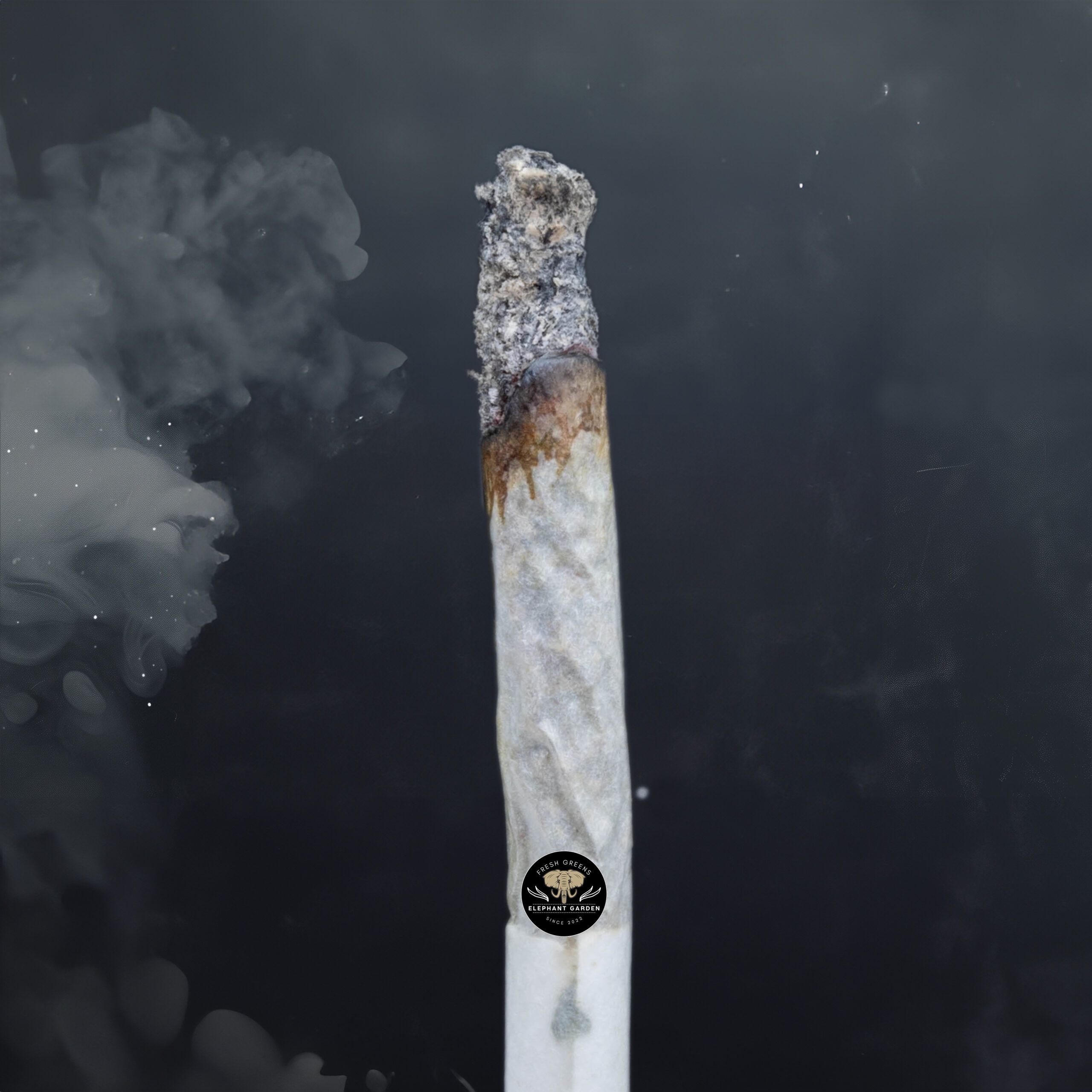 Buy Cherry Mac Pie at Elephant Garden Co Weed Dispensary Burn Test 1 24 2024