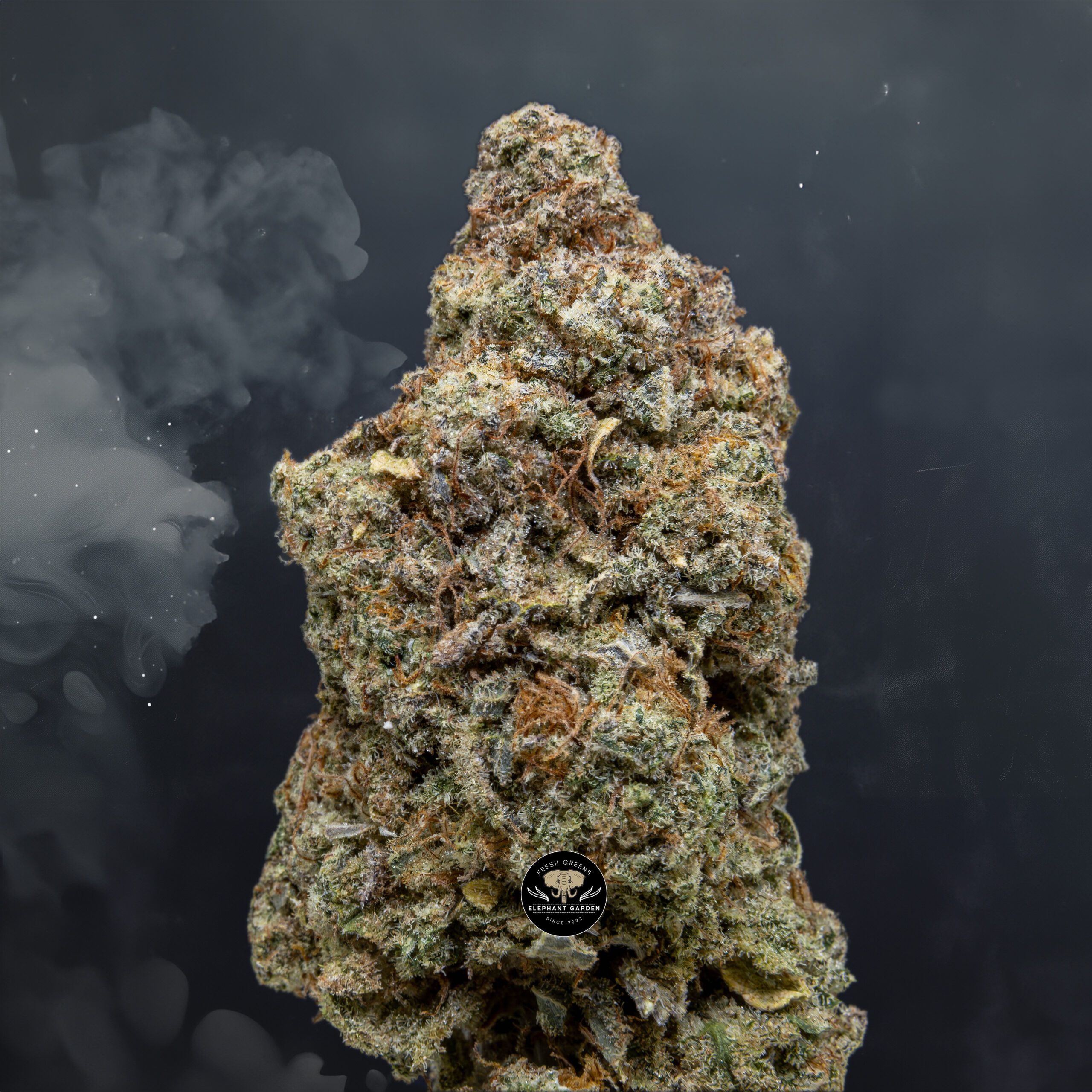 Buy Cherry Mac Pie at Elephant Garden Co Weed Dispensary Close 1 24 2024 2