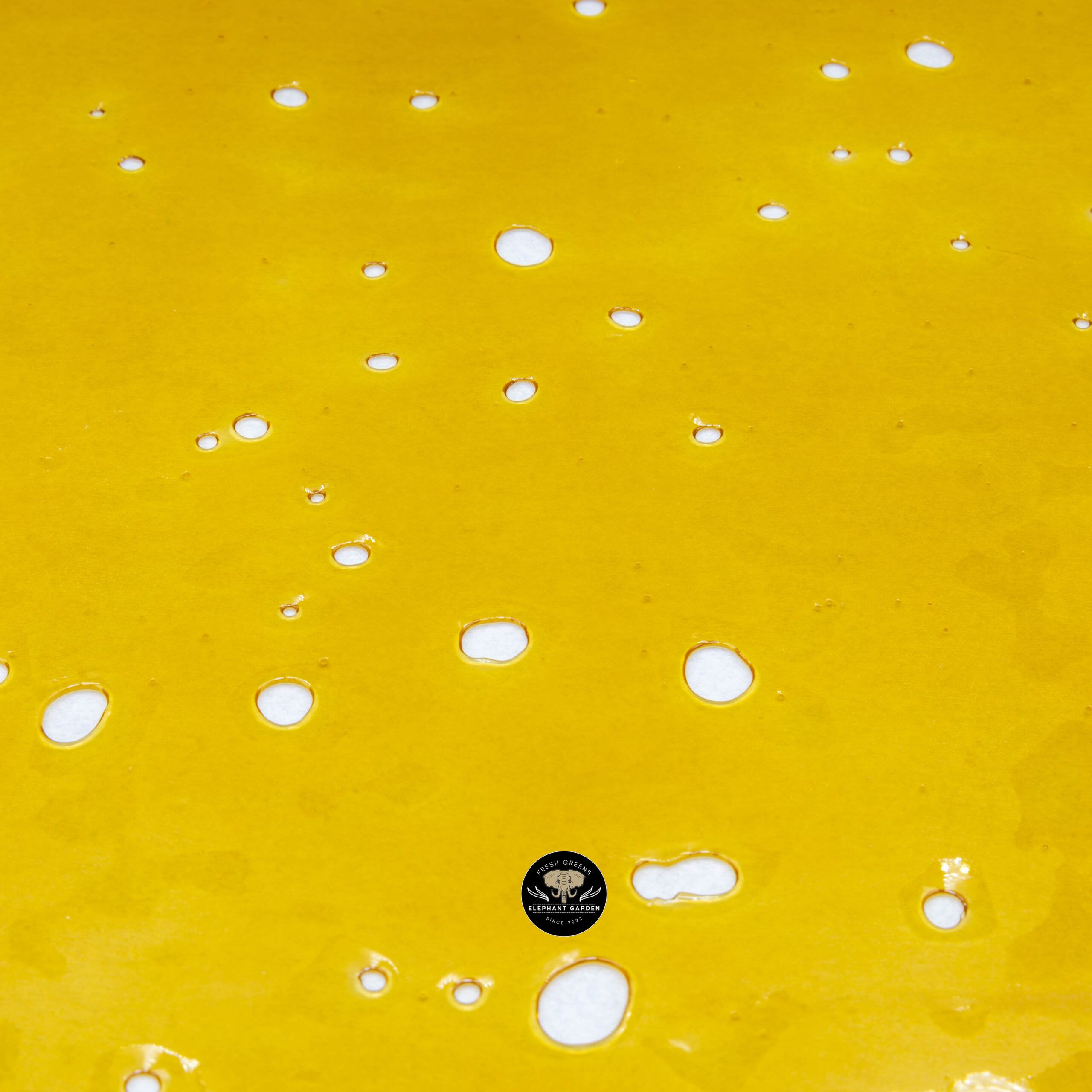 Buy Platnium OG Shatter Bulk at Elephant Garden Co Weed Dispensary Bulk 1 10 2024