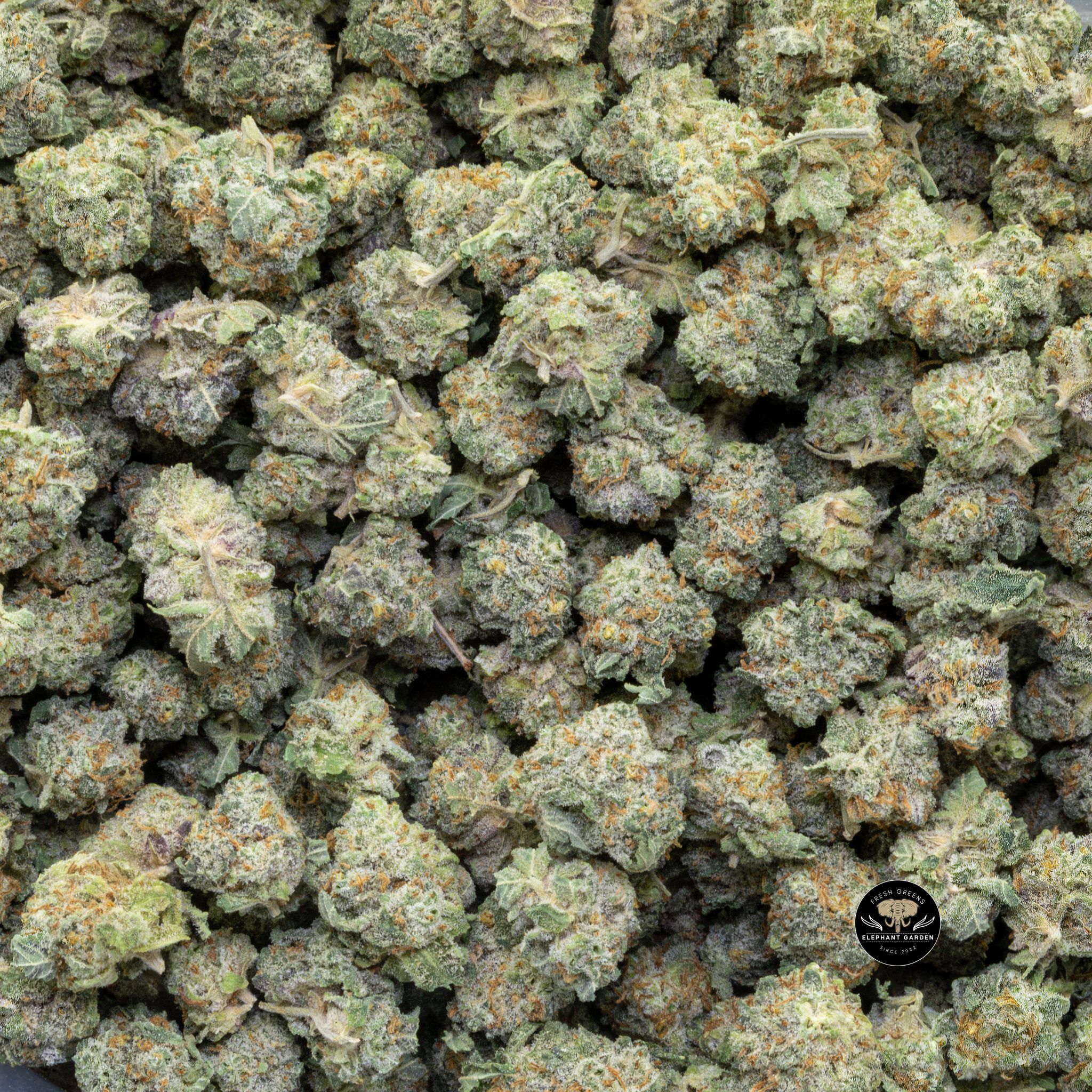 Buy Blueberry Cheese Cake Popcorn (Bulk) at Elephant Garden Co Weed Dispensary 2 28 2024