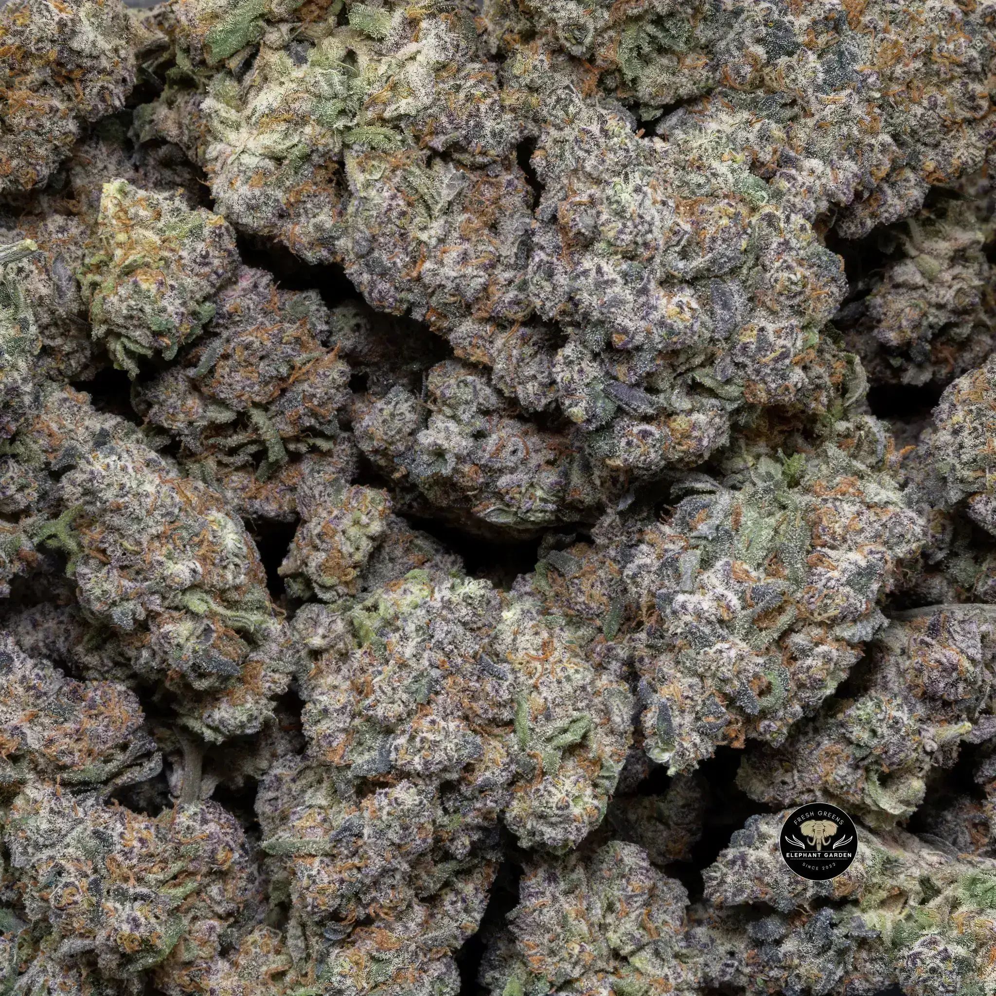 Buy Cherry Thunder Fuck at Elephant Garden Co Weed Dispensary Close 8 19 24 2