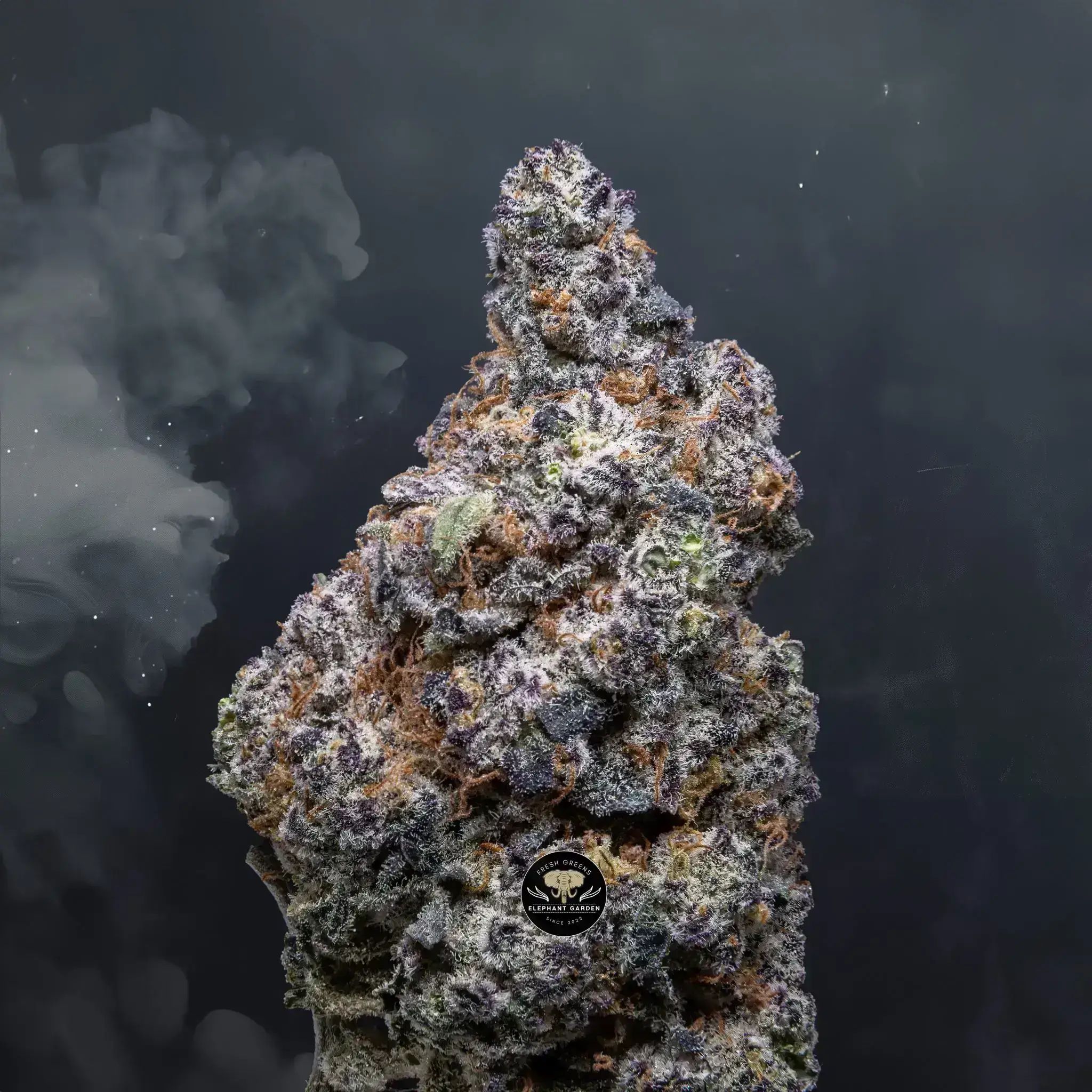 Buy Cherry Thunder Fuck at Elephant Garden Co Weed Dispensary Close 8 7 24 2