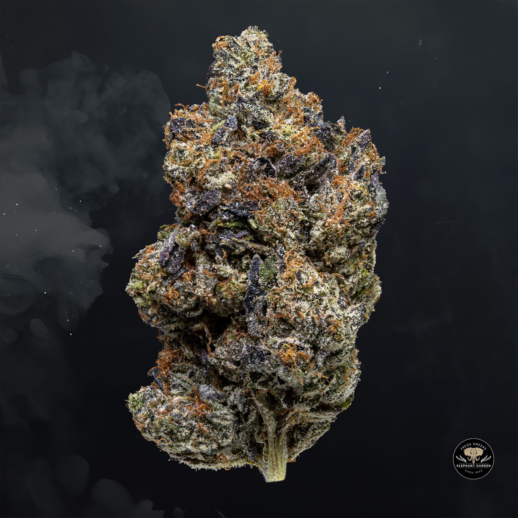 Buy Gas Mask at Elephant Garden Co Weed Dispensary Float 1 23 24 2