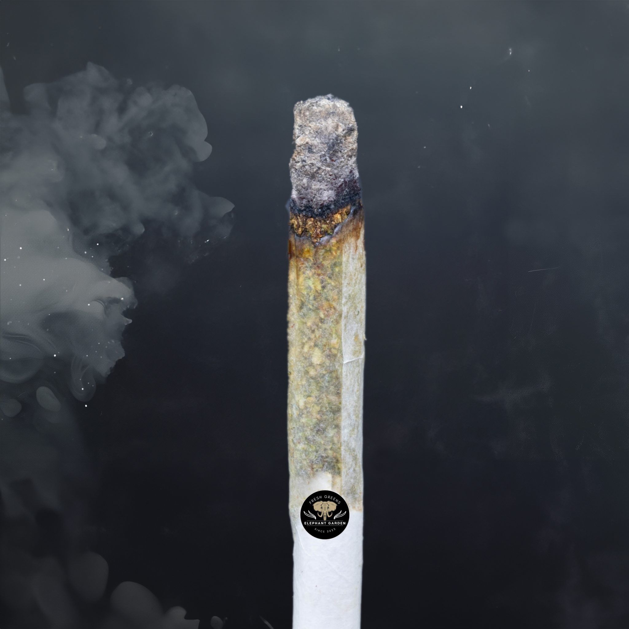 Buy Grape Mac at Elephant Garden Co Weed Dispensary Burn Test 2 20 2024 2