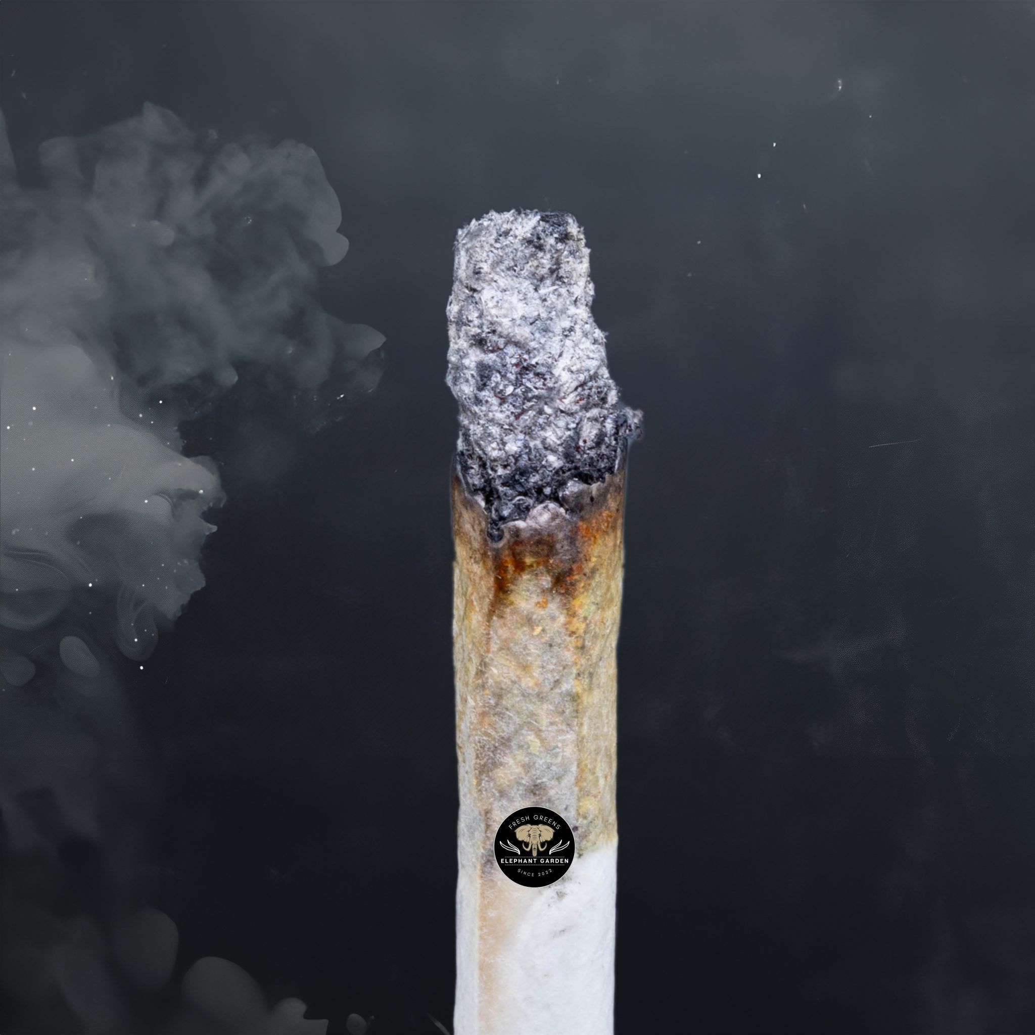 Buy Cookies and Cream Popcorn at Elephant Garden Co Weed Dispensary Burn Test 5 10 2024 2