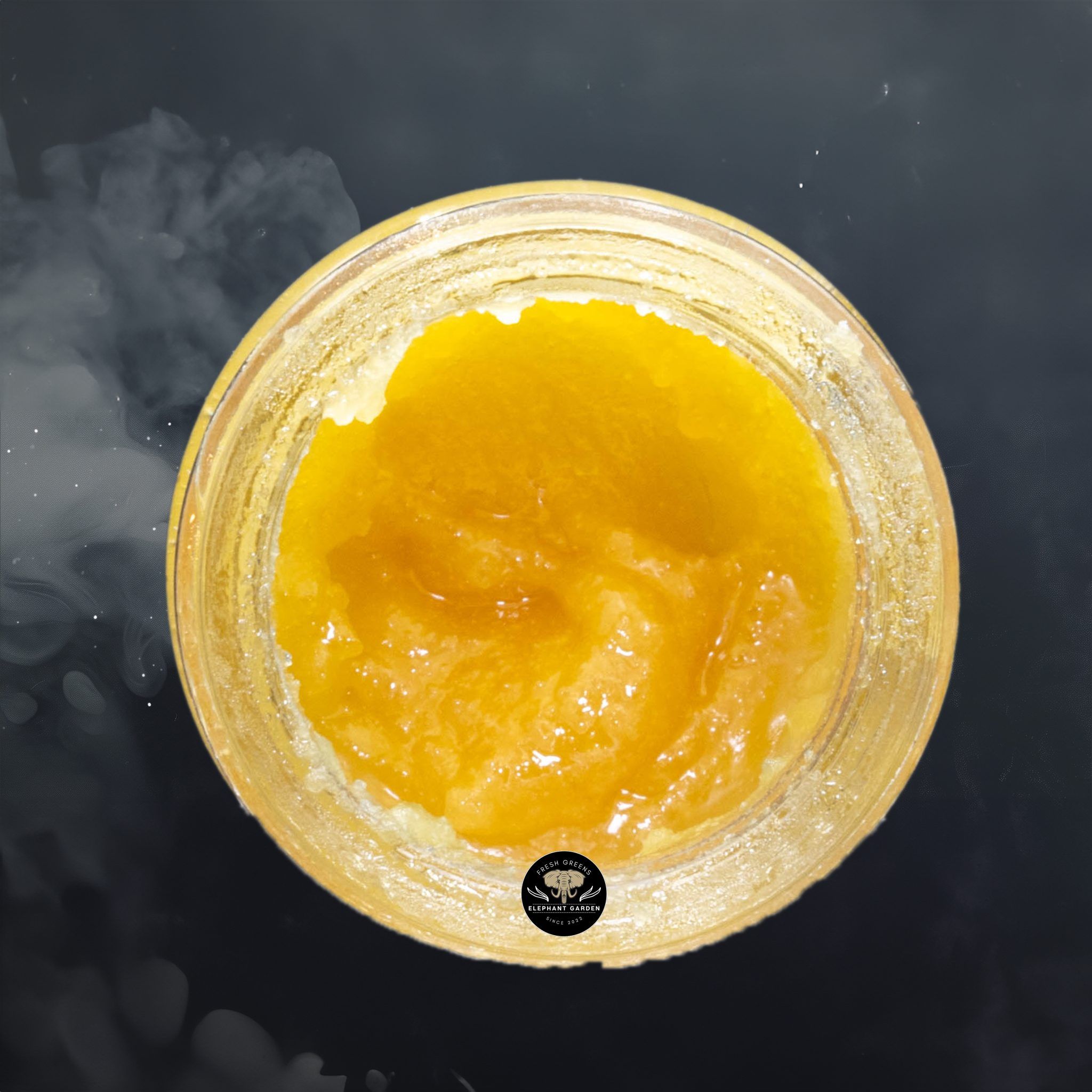 Buy Terminator OG Resin at Elephant Garden Co Weed Dispensary 2 22 2024 2