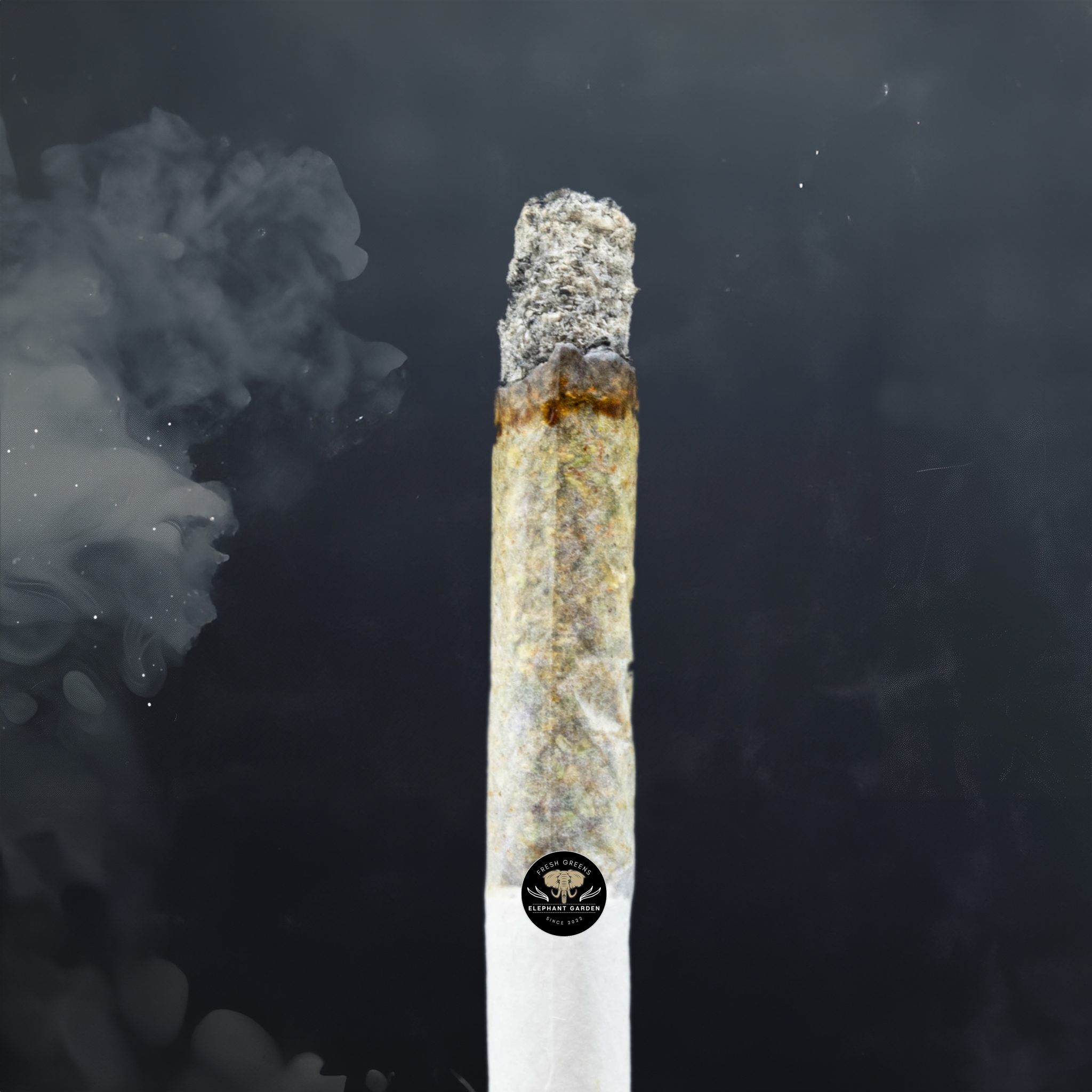 Buy Artificial Red at Elephant Garden Co Weed Dispensary Burn Test 3 12 2024 2