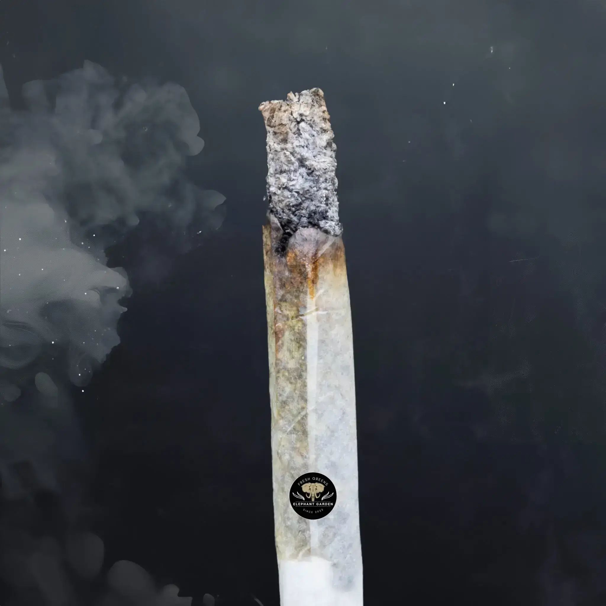 Godfather OG - Indica - AAA+ - Image 2