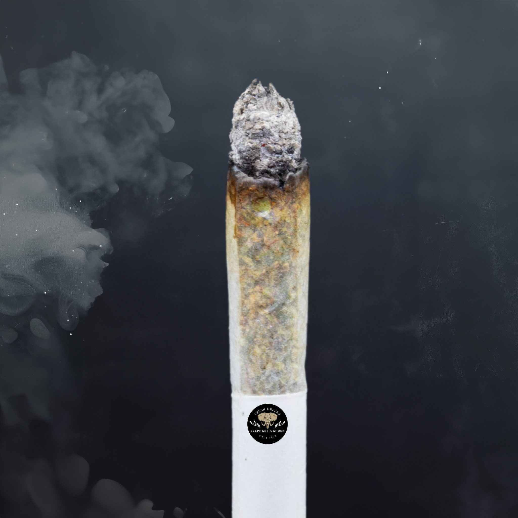 Buy Diablo at Elephant Garden Co Weed Dispensary Burn Test 8 7 2024 2