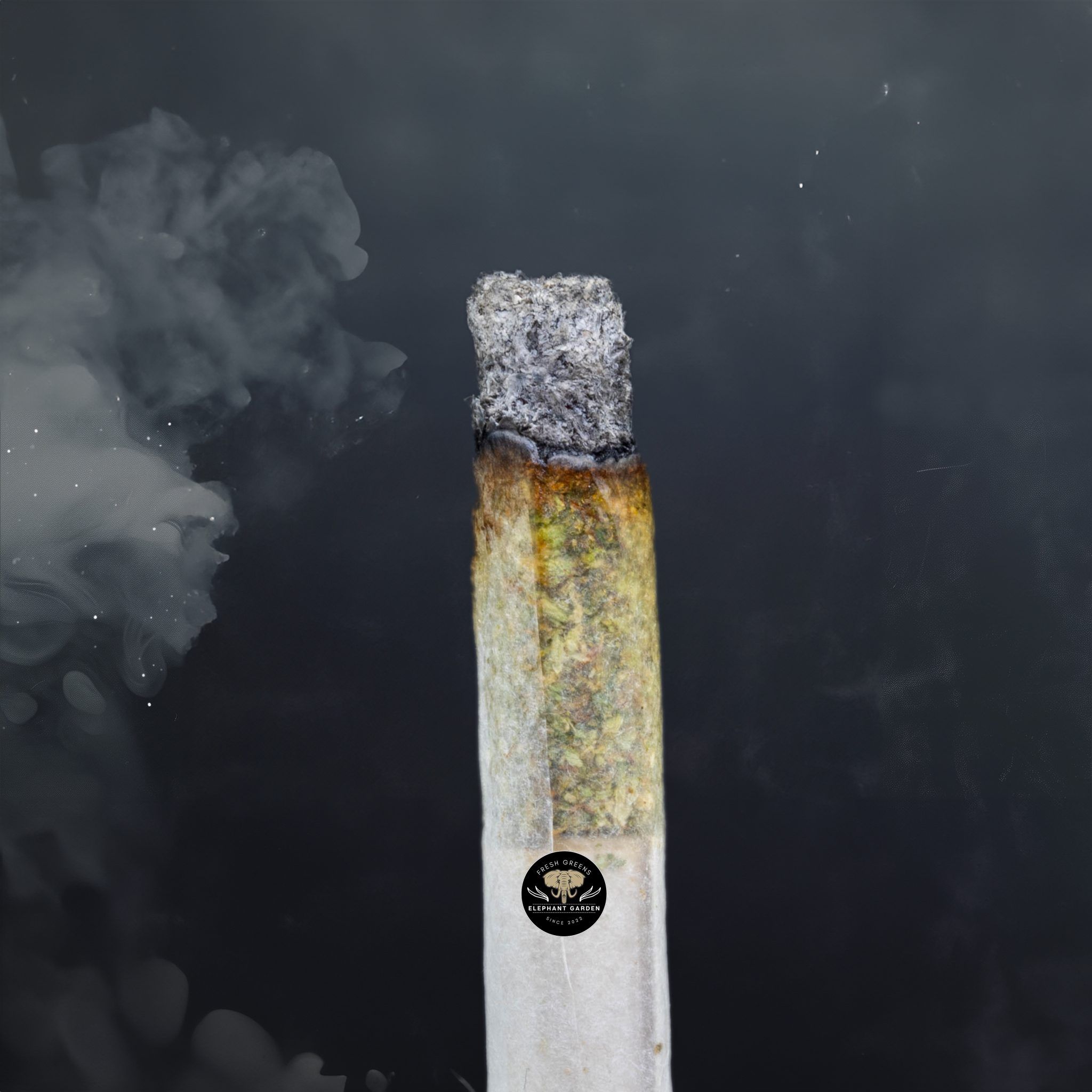Buy Diesel Dough at Elephant Garden Co Weed Dispensary Burn Test 3 18 2024 2