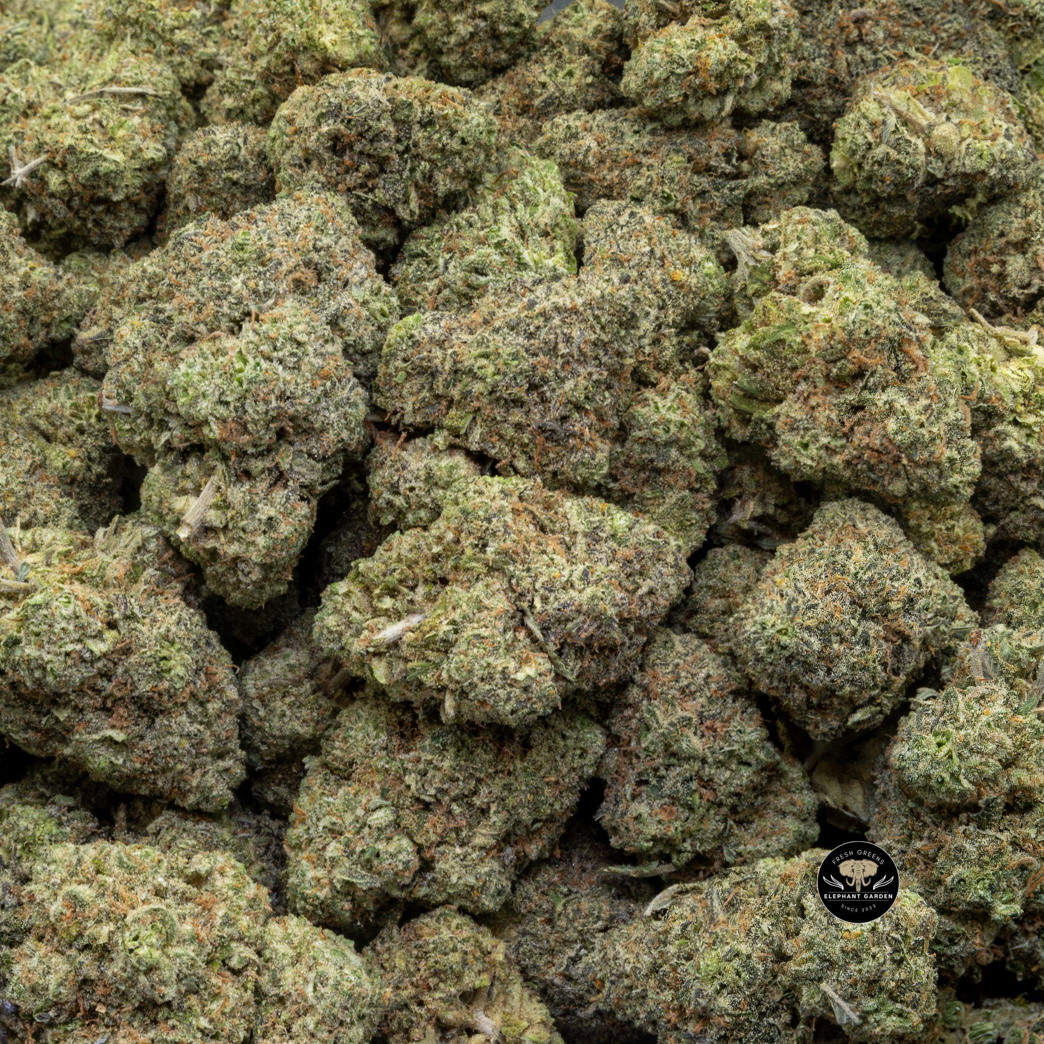 Buy Diesel Dough (Bulk) at Elephant Garden Co Weed Dispensary 3 18 2024