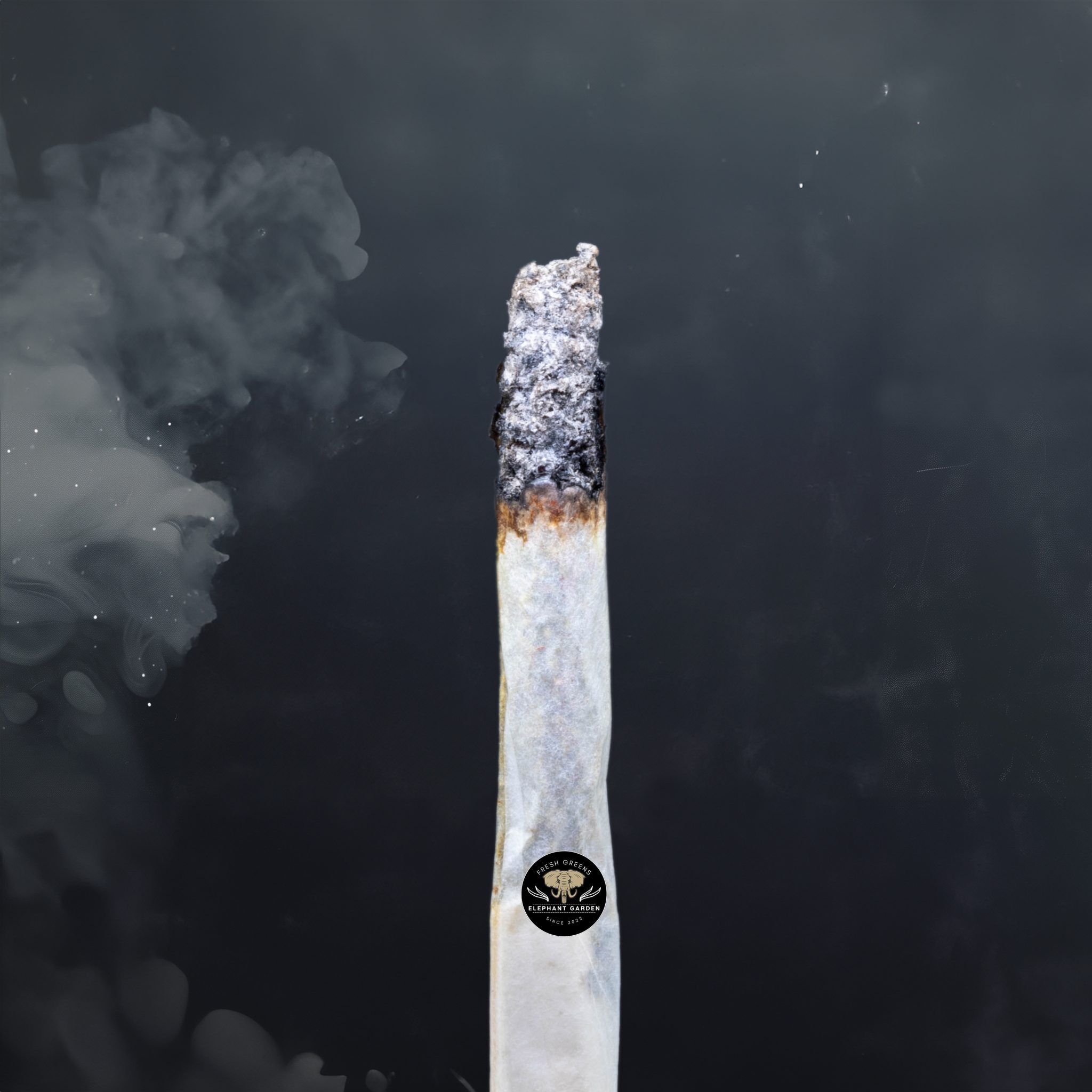 Buy Duke Nukem at Elephant Garden Co Weed Dispensary Burn Test 3 21 2024 2