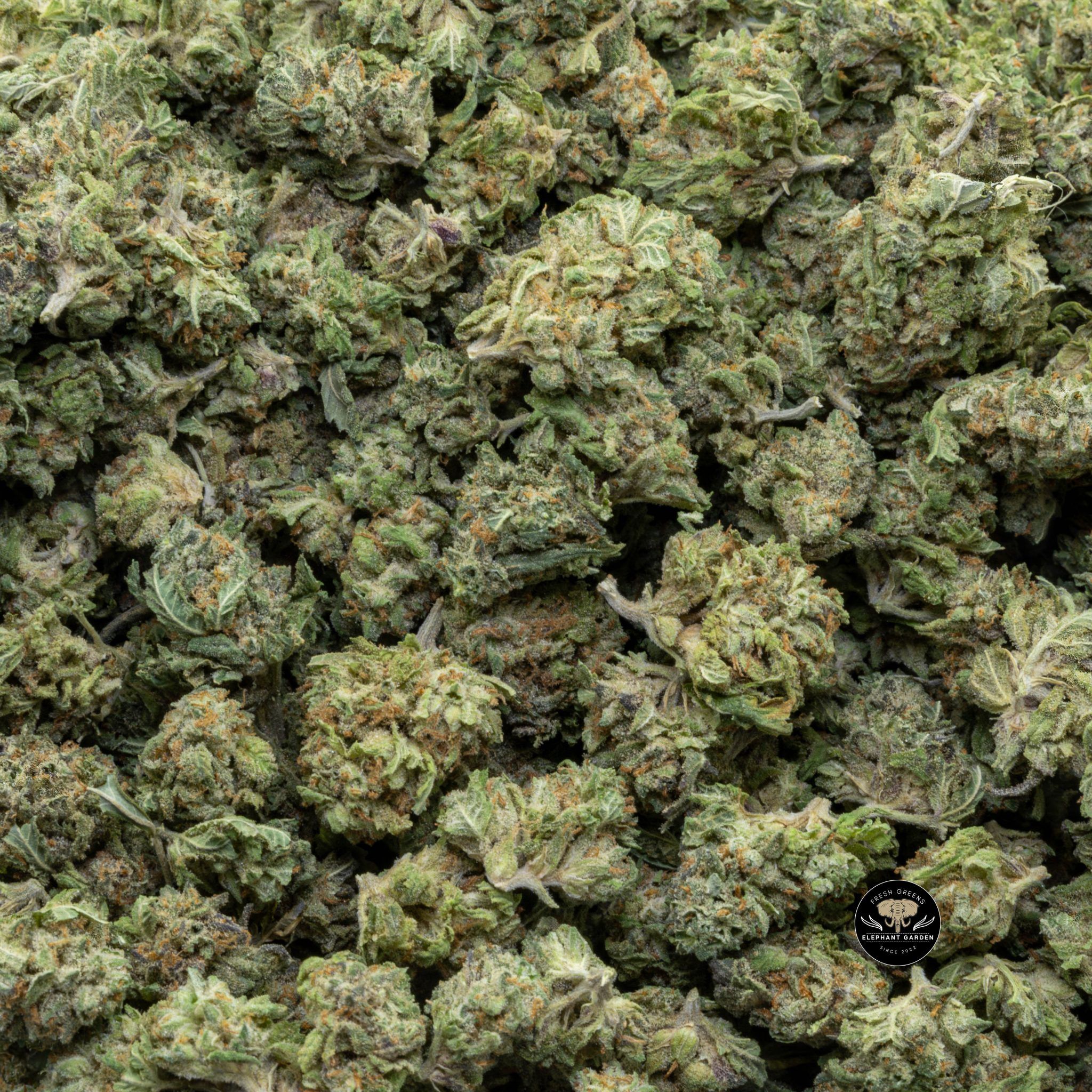Buy Duke Nukem at Elephant Garden Co Weed Dispensary Close 3 21 2024