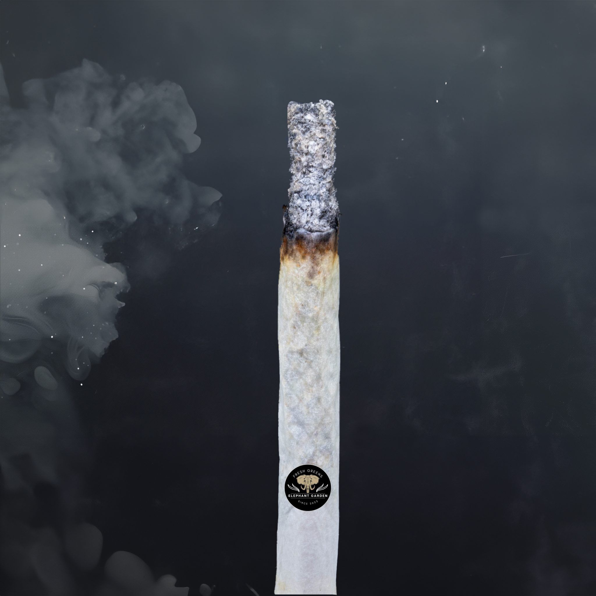 Buy Mac and Cheese at Elephant Garden Co Weed Dispensary Burn Test 3 18 2024 2