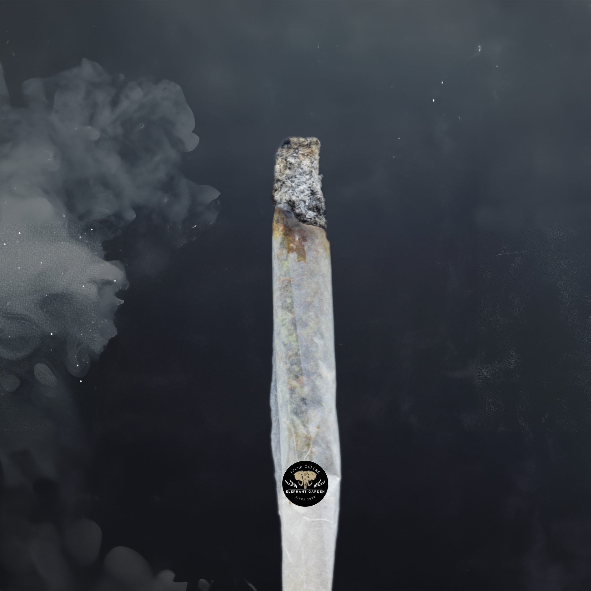 Buy Monster Cookies at Elephant Garden Co Weed Dispensary Burn Test 3 18 2024 2