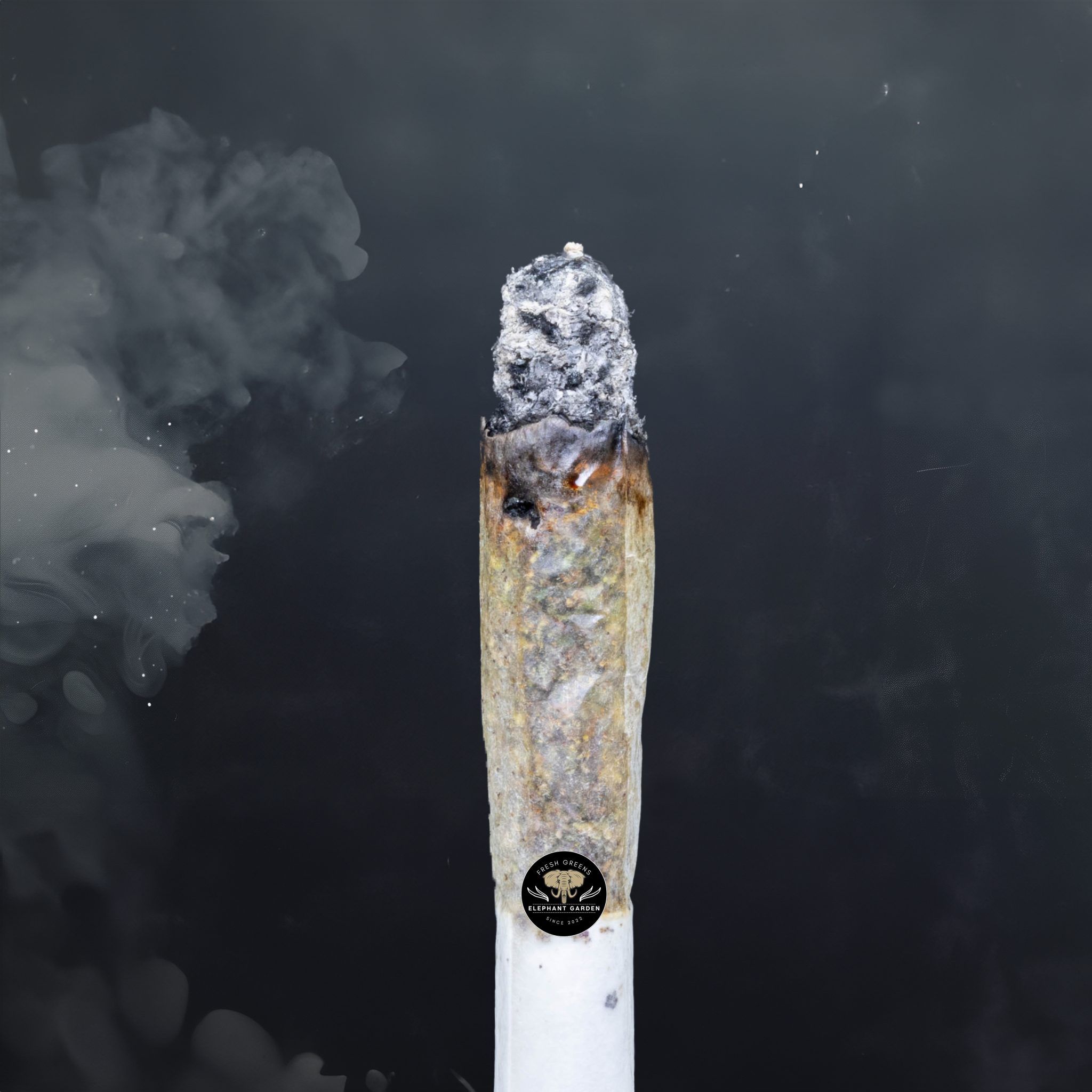 Buy Peanut Butter Rockstar at Elephant Garden Co Weed Dispensary Burn Test 3 12 2024 2