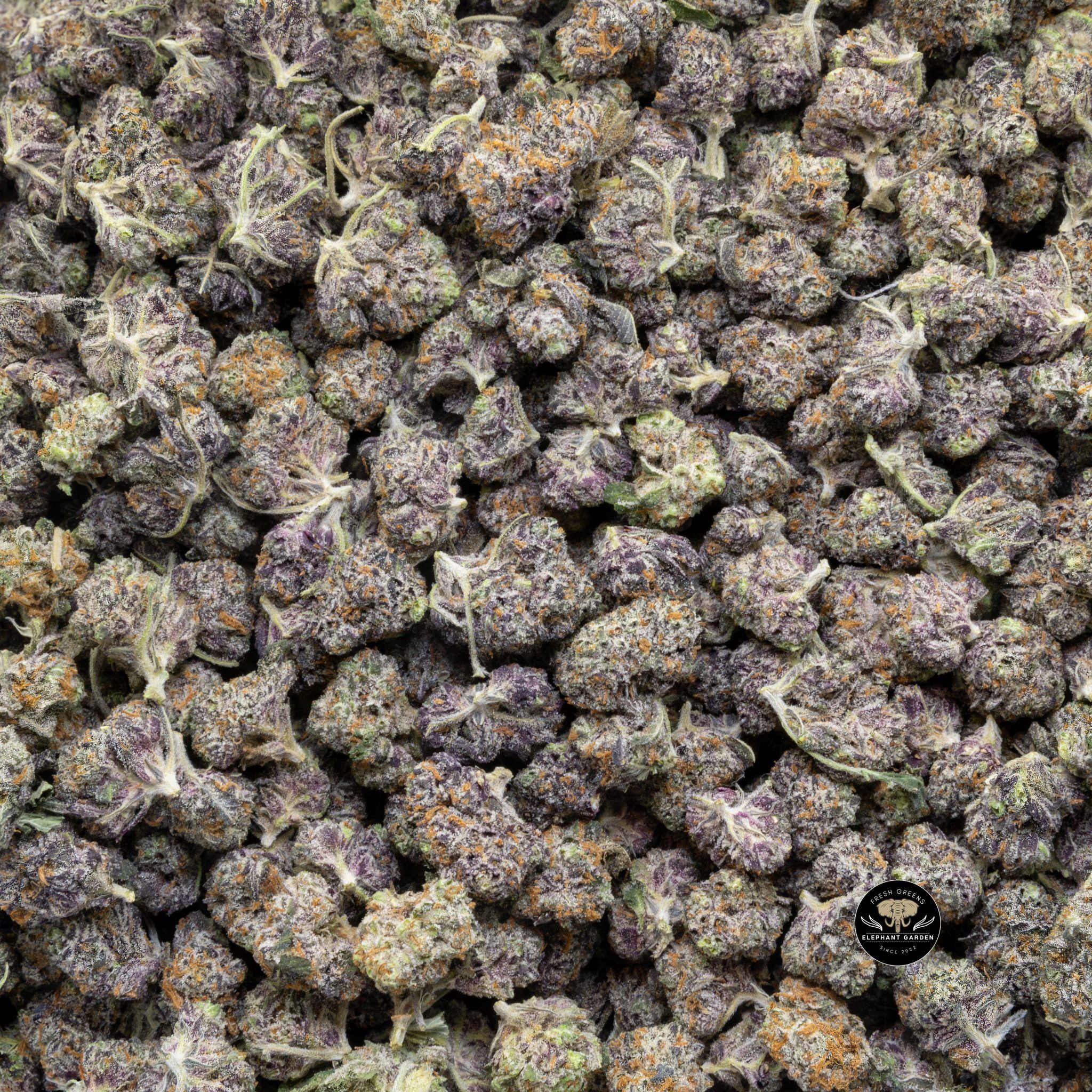 Buy Peanut butter Rockstar (Bulk) at Elephant Garden Co Weed Dispensary 3 12 2024