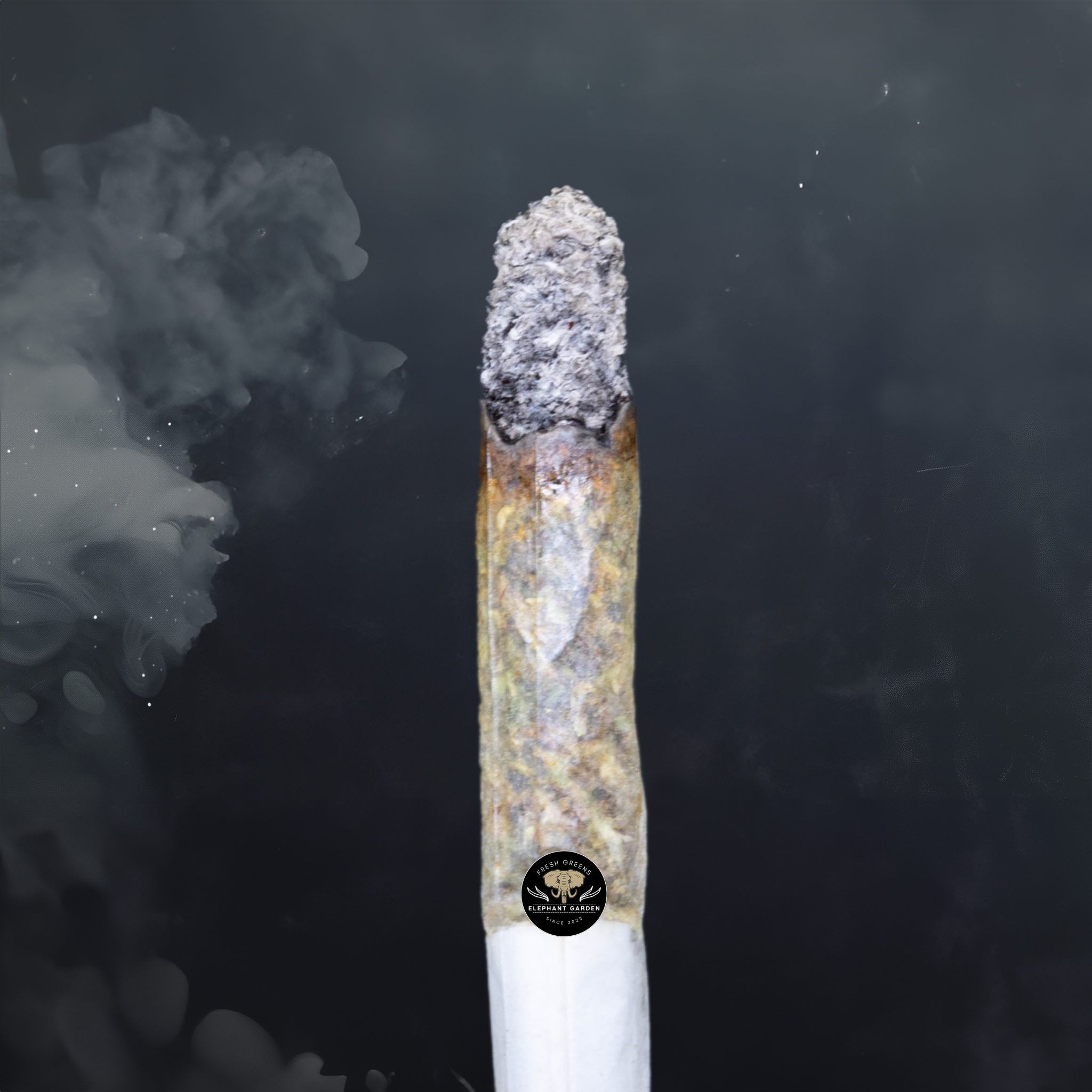 Buy Death Tuna at Elephant Garden Co Weed Dispensary Burn Test 6 18 2024 2