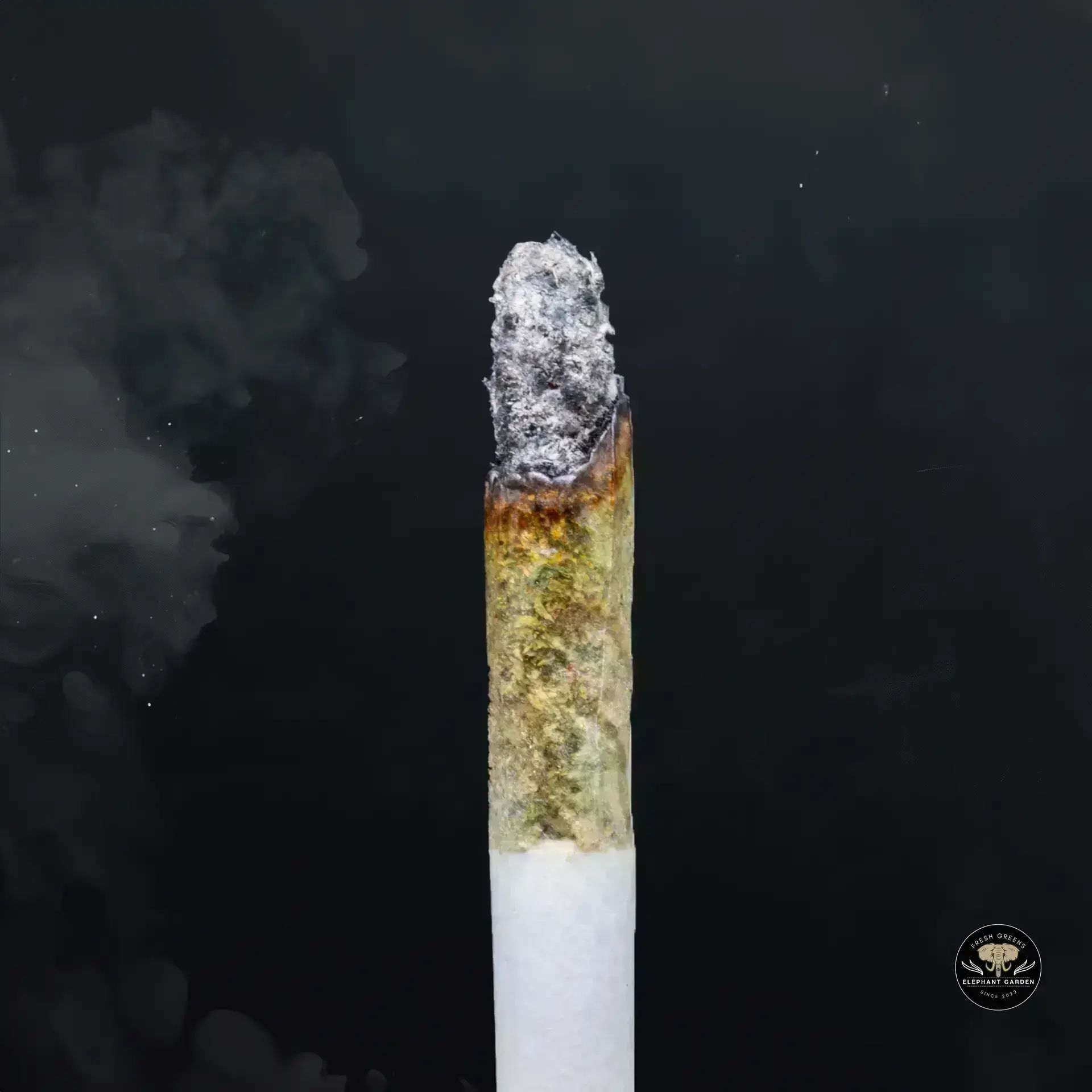 Buy Gucci Pink at Elephant Garden Co Weed Dispensary Burn 11 13 24