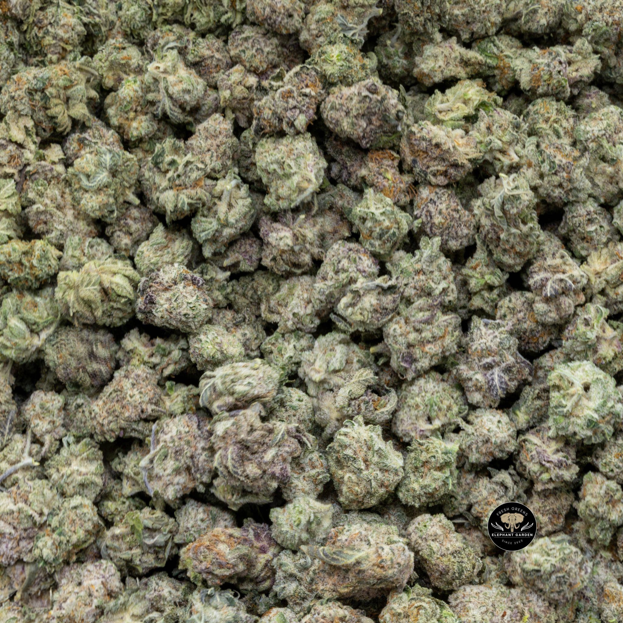 Buy Berry Gelato (Bulk) at Elephant Garden Co Weed Dispensary Close 3 27 2024