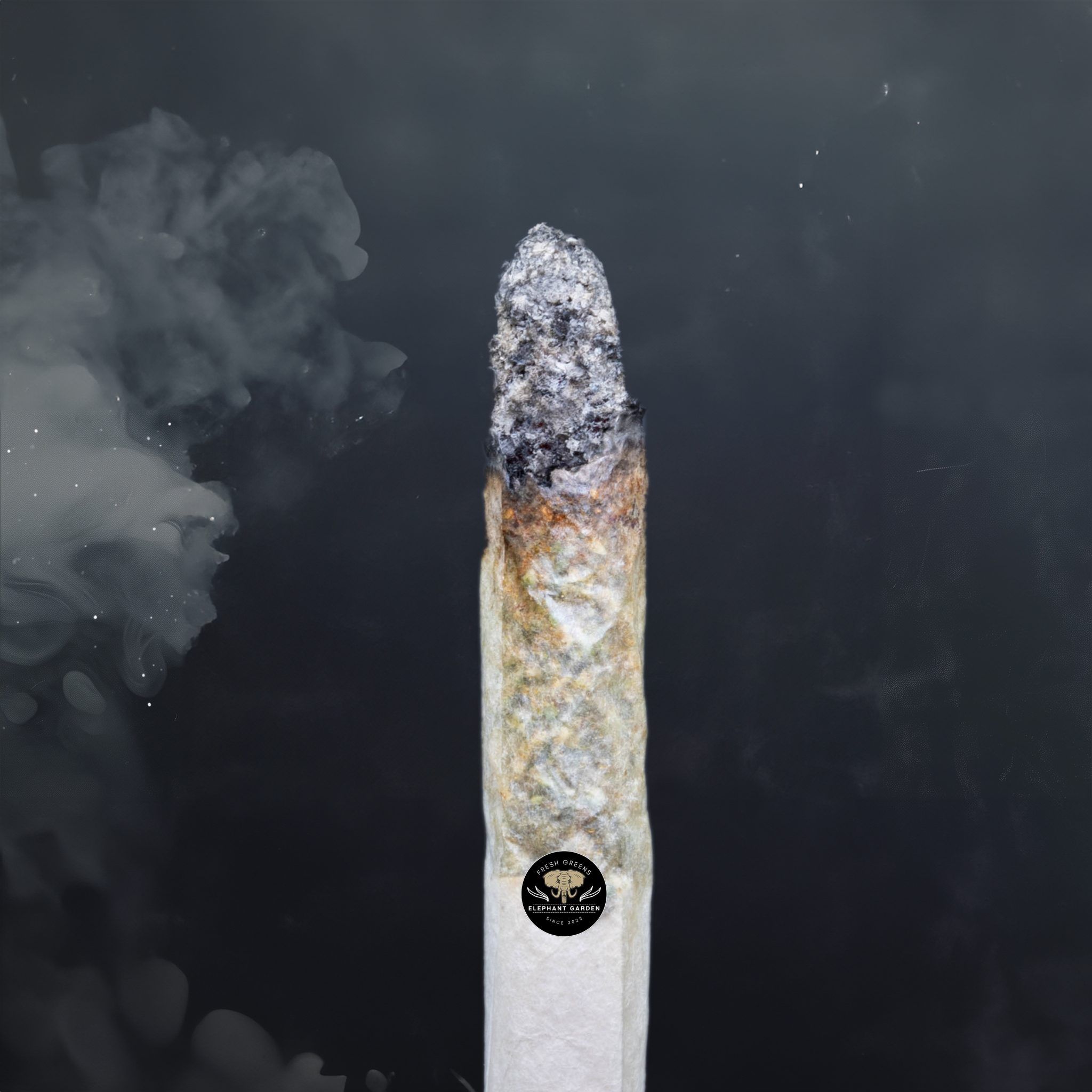 Buy Berry Gelato at Elephant Garden Co Weed Dispensary Burn Test 3 21 2024 2