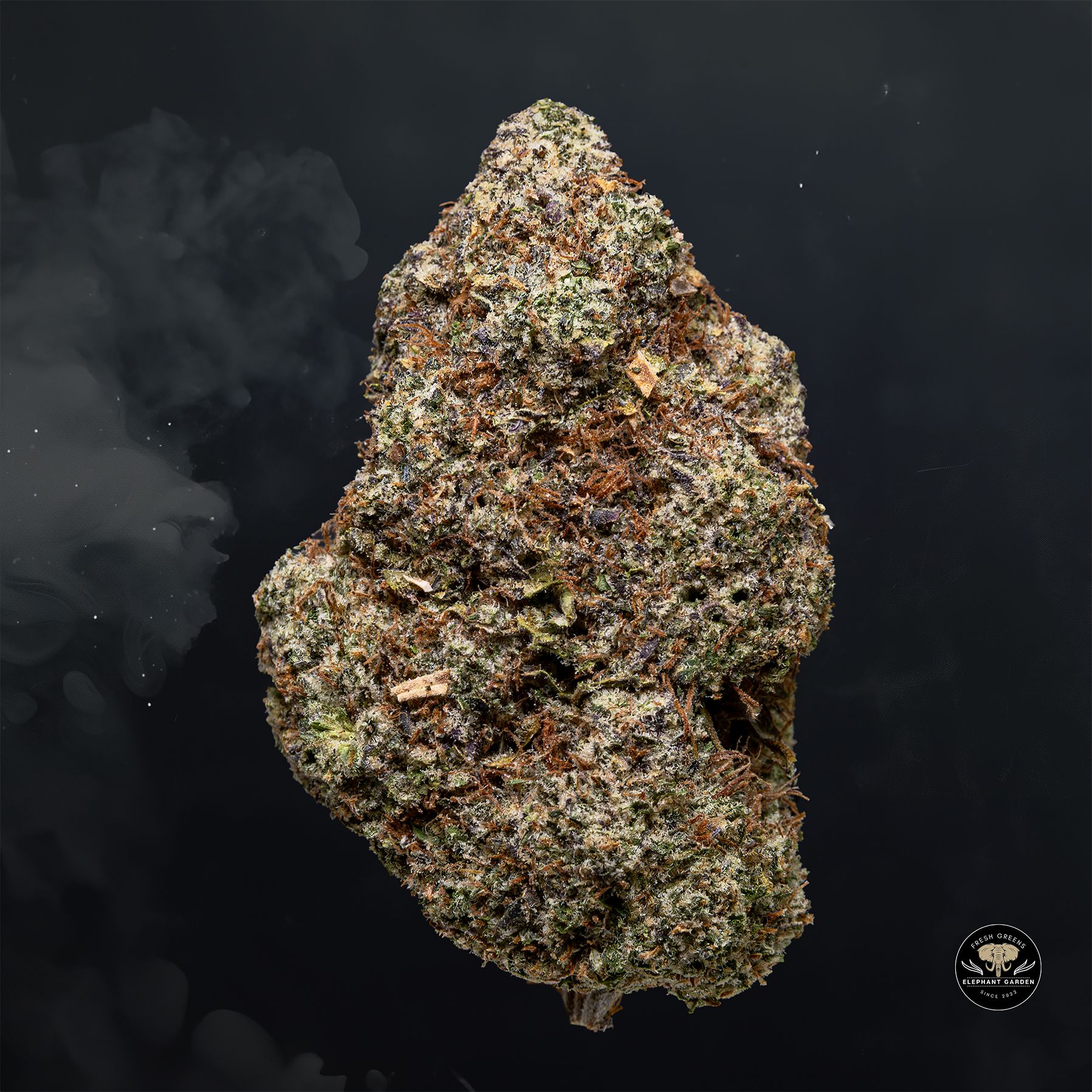 Buy Bio Diesel at Elephant Garden Co Weed Dispensary Float 3 11 25 2