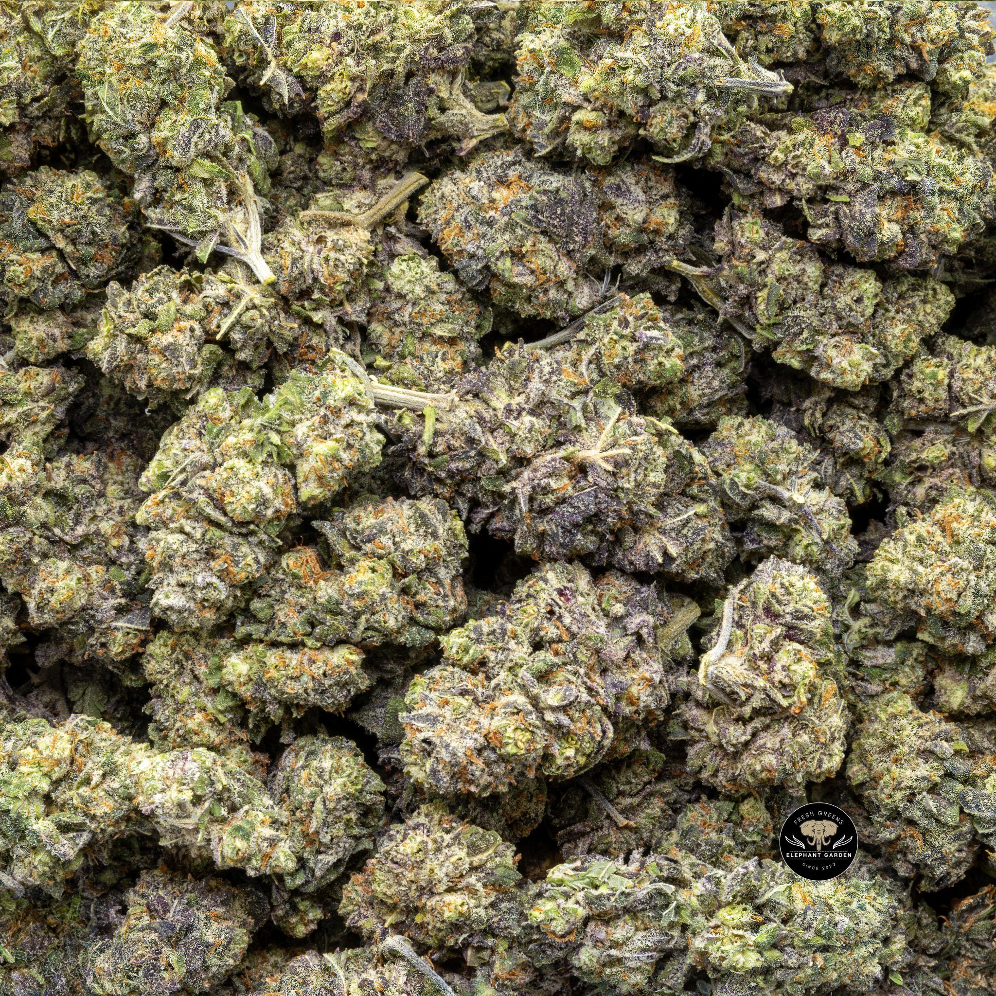 Buy Blueberry Cheese Cake (Bulk) at Elephant Garden Co Weed Dispensary Close 4 24 2024