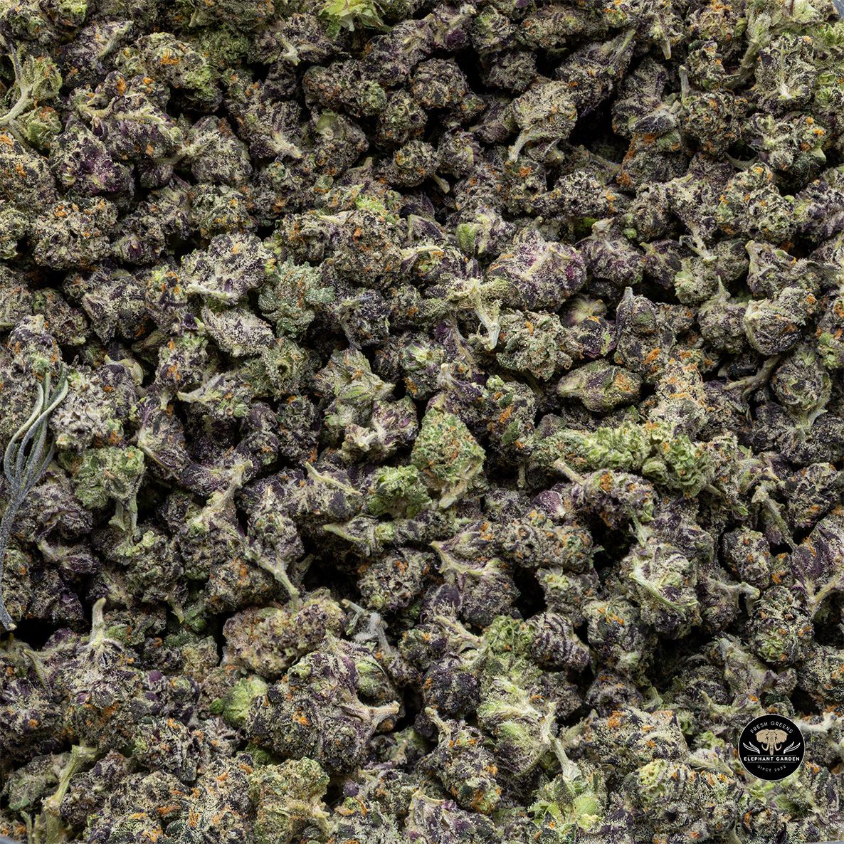 Buy Purple Cream at Elephant Garden Co Weed Dispensary Float 5 15 25 2