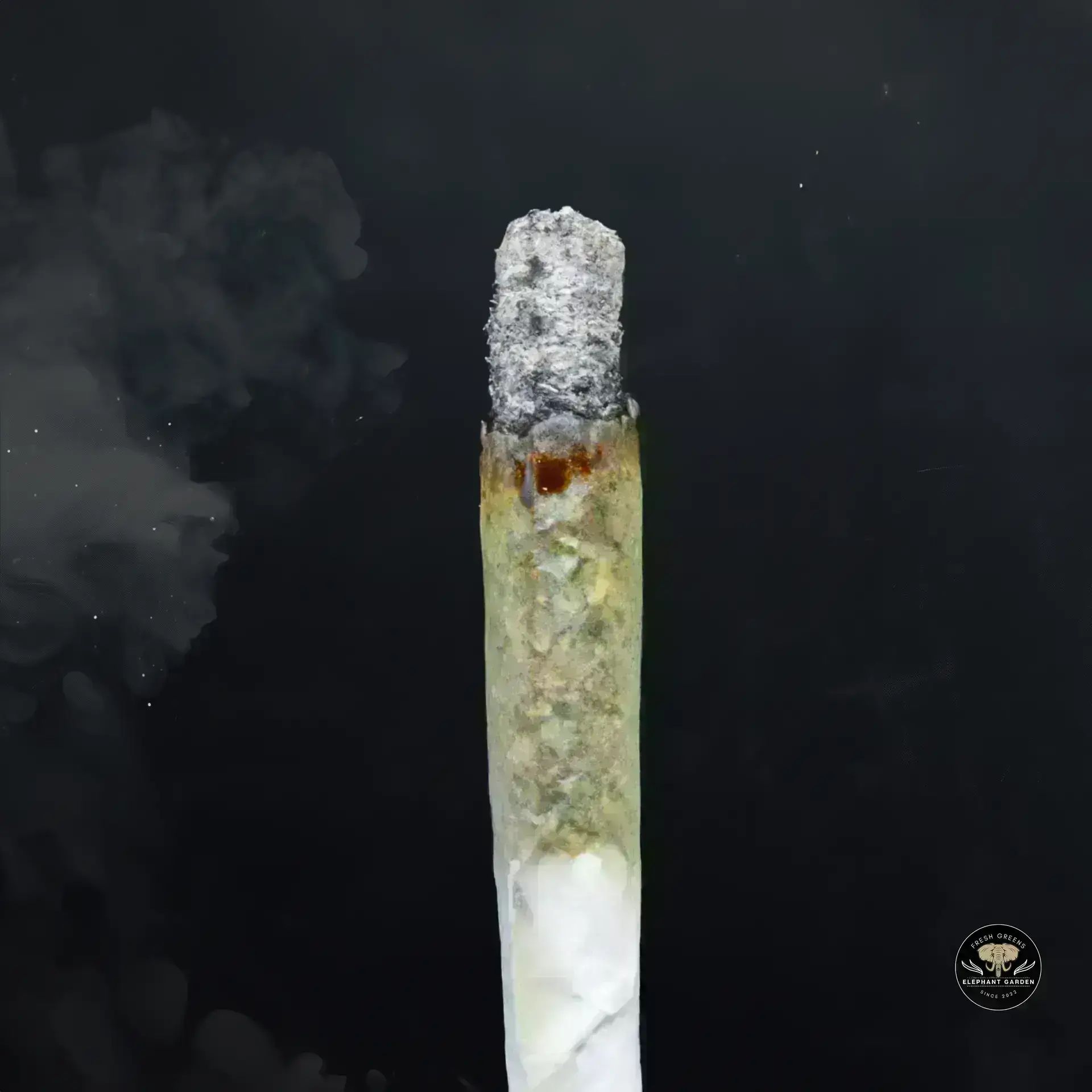 Buy Galactic Gas at Elephant Garden Co Weed Dispensary Burn 11 13 24