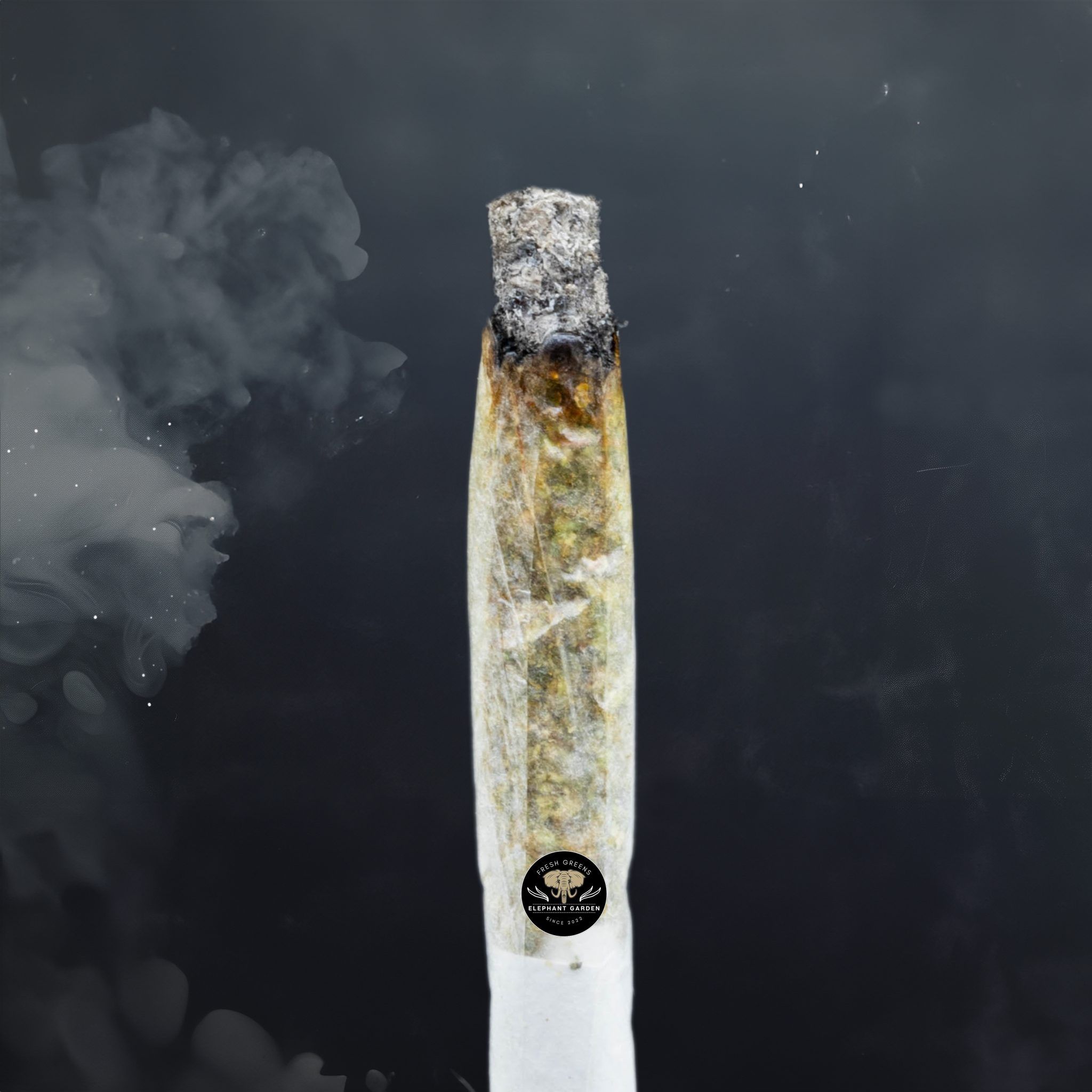 Buy Purple Octane at Elephant Garden Co Weed Dispensary Burn Test 7 18 2024 2