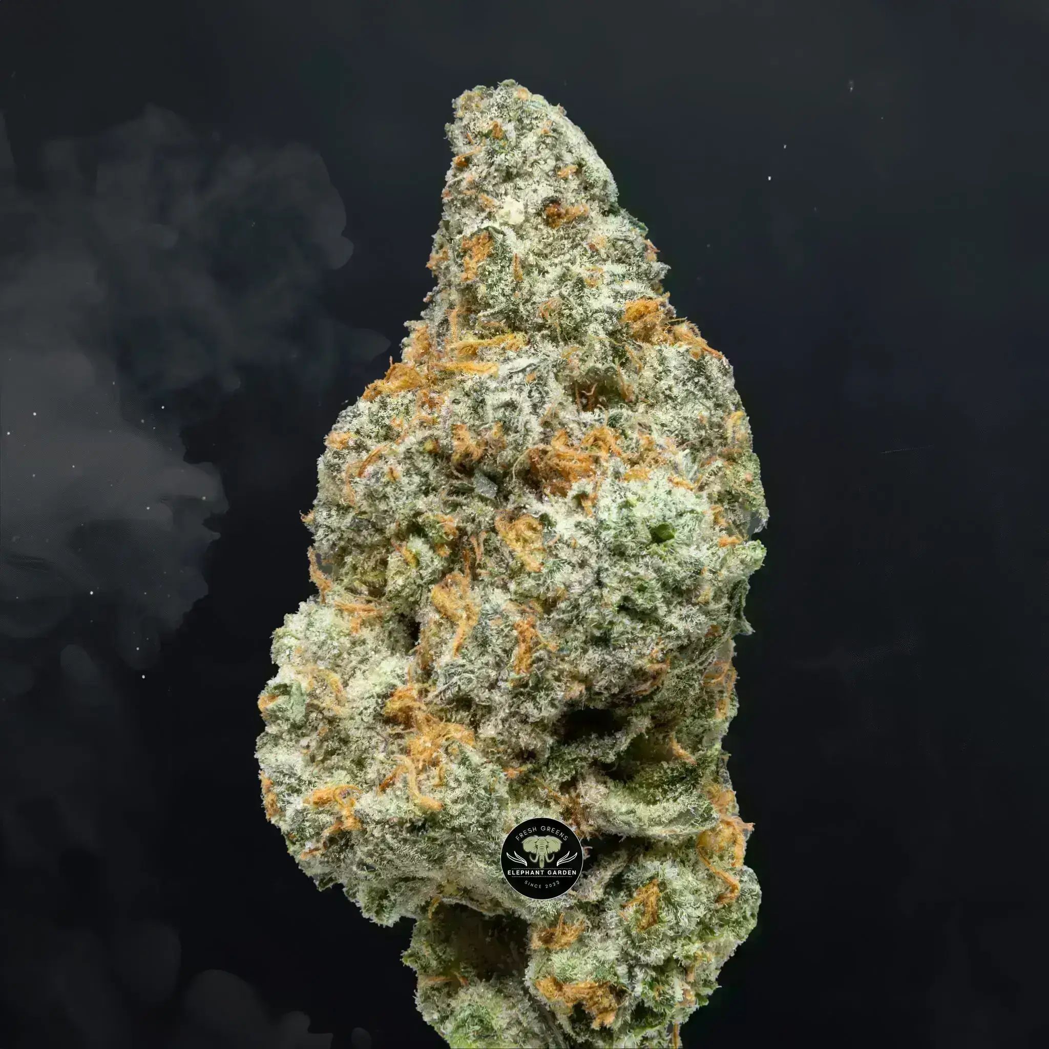 Buy Ice Cream at Elephant Garden Co Weed Dispensary Close 8 19 24 3