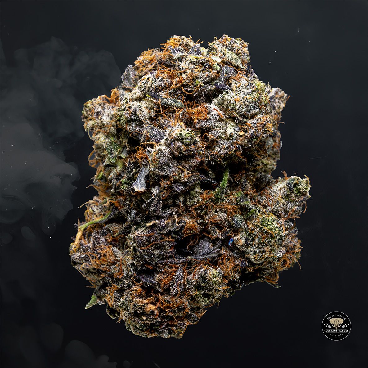 Buy Gucci Pink at Elephant Garden Co Weed Dispensary Float 5 15 25 4