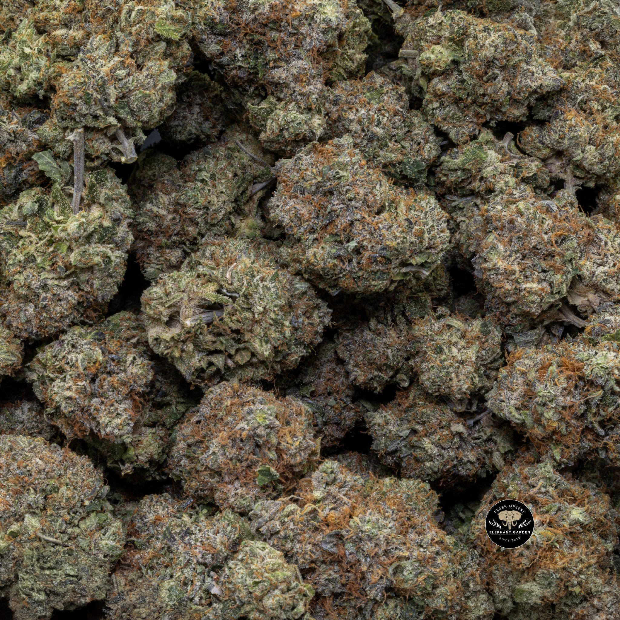 Buy Island Pink (Bulk) at Elephant Garden Co Weed Dispensary Close 6 3 2024