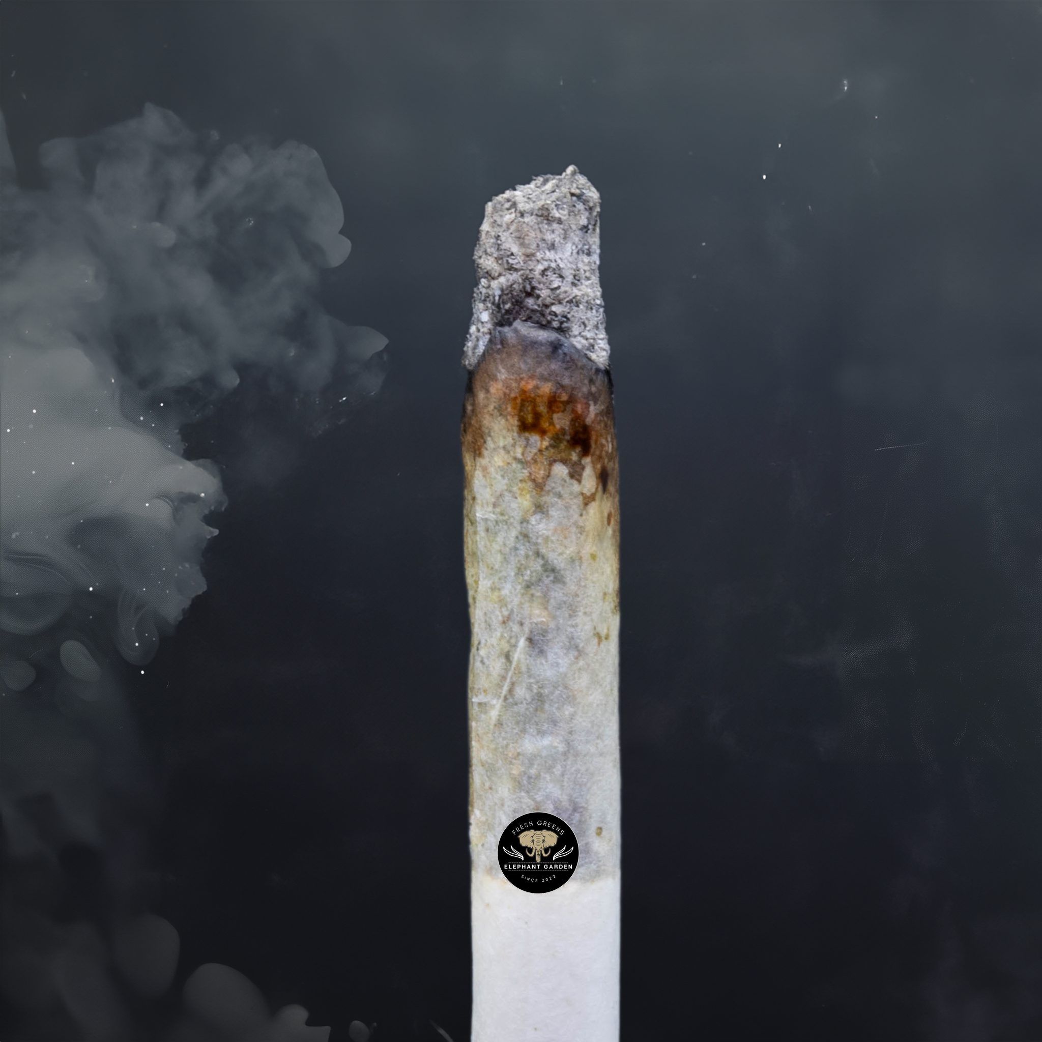 Buy Island Pink at Elephant Garden Co Weed Dispensary Burn Test 6 3 2024 2