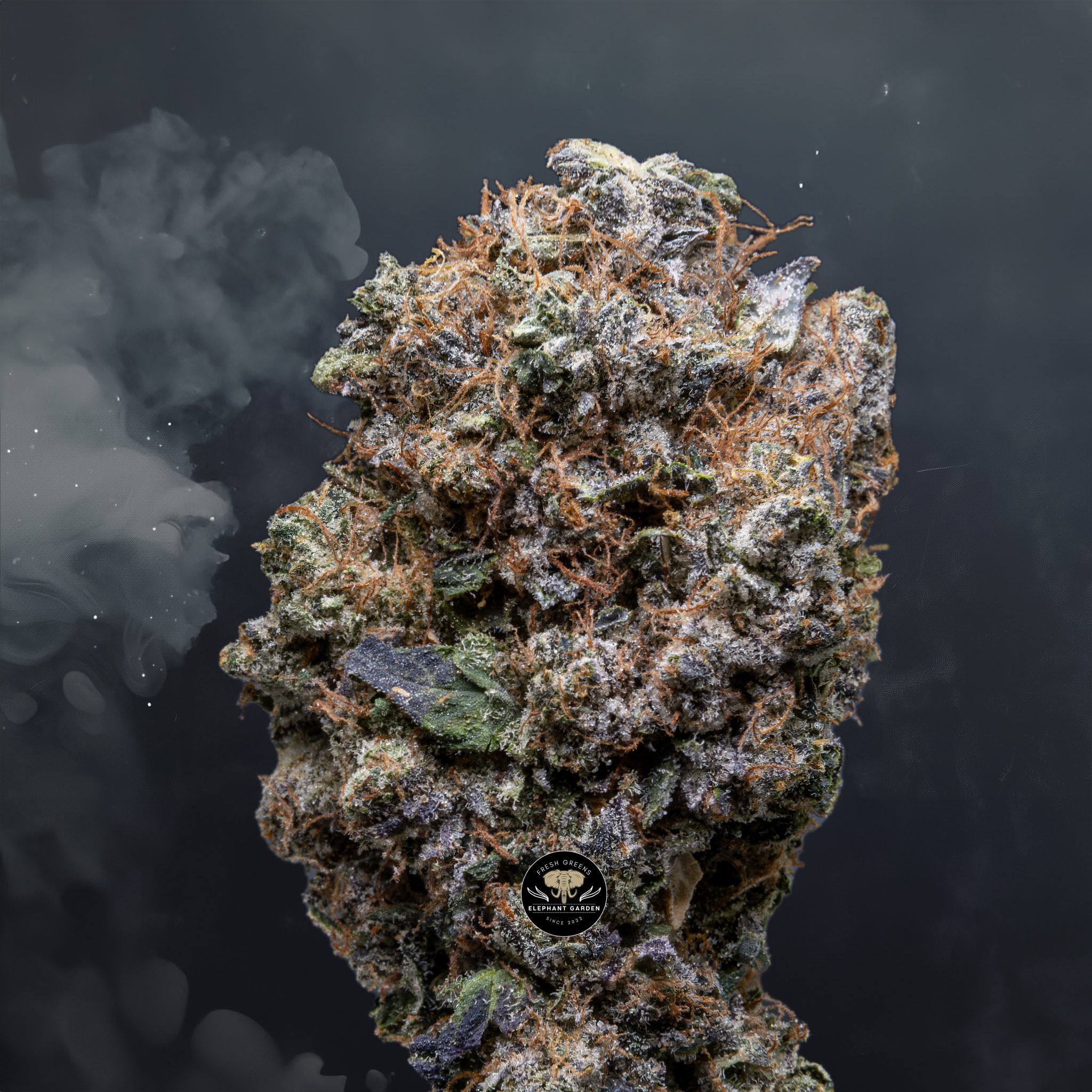 Buy Island Pink at Elephant Garden Co Weed Dispensary Close 6 3 24