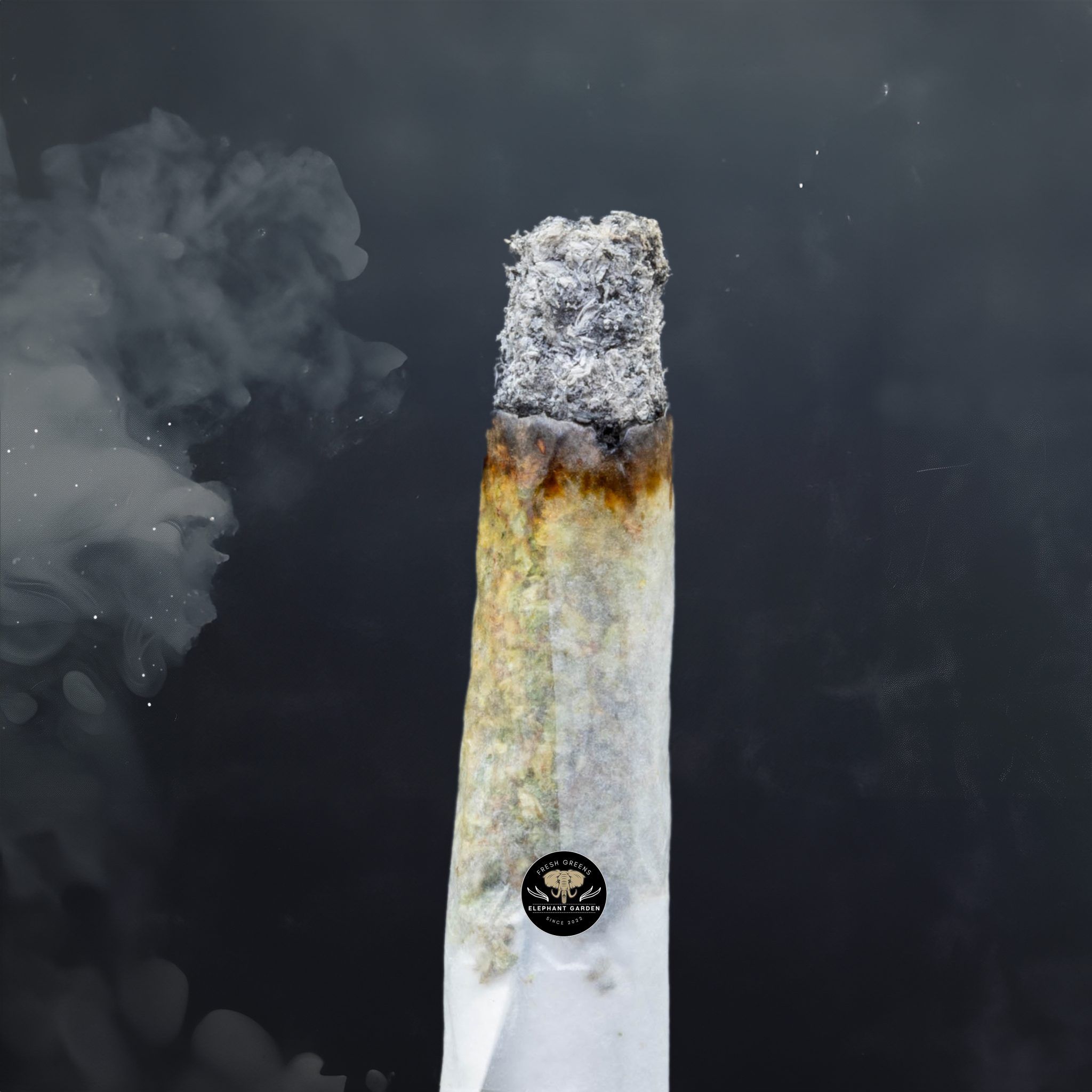Buy La Confidential at Elephant Garden Co Weed Dispensary Burn Test 4 24 2024 2