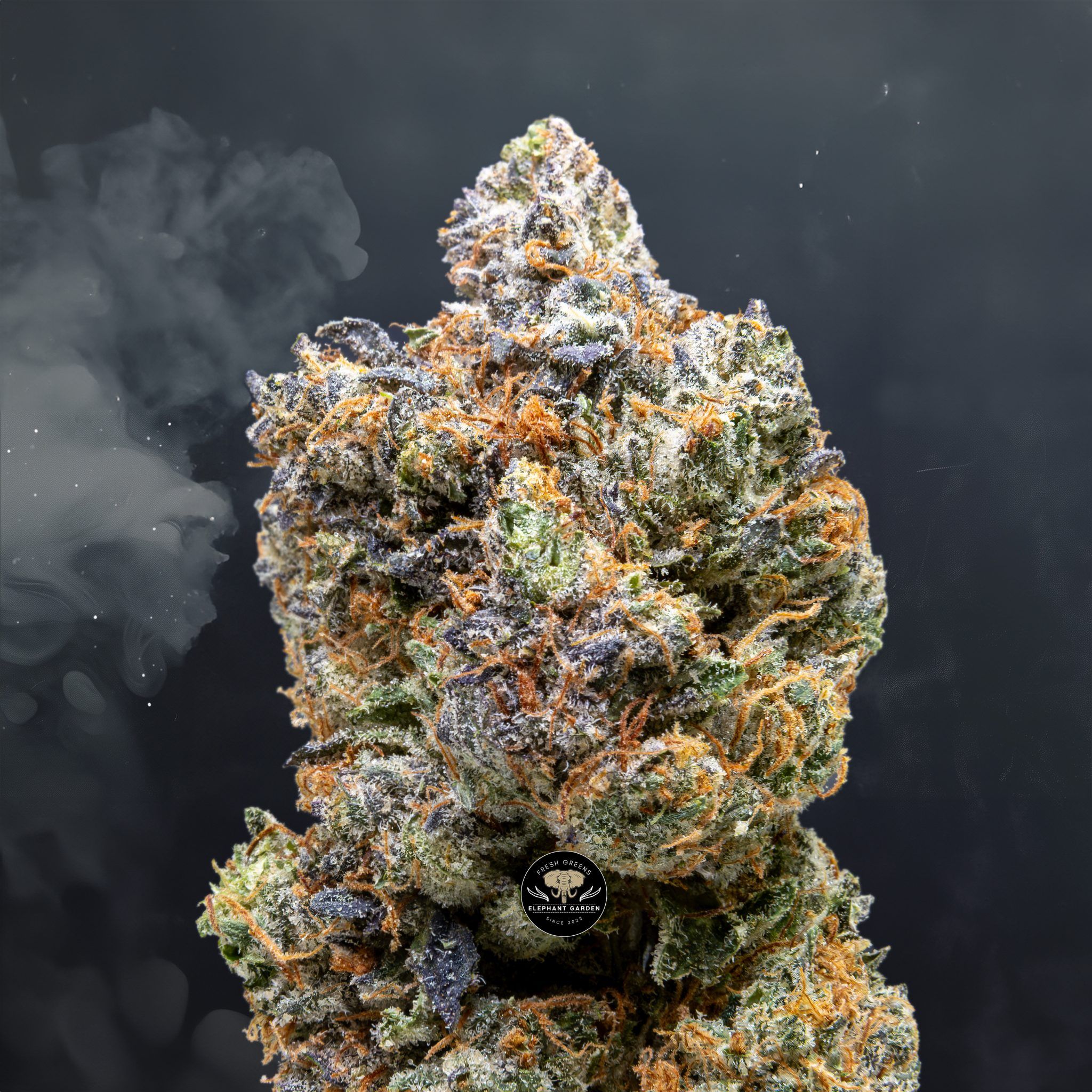 Buy La Confidential at Elephant Garden Co Weed Dispensary Close 4 24 2024