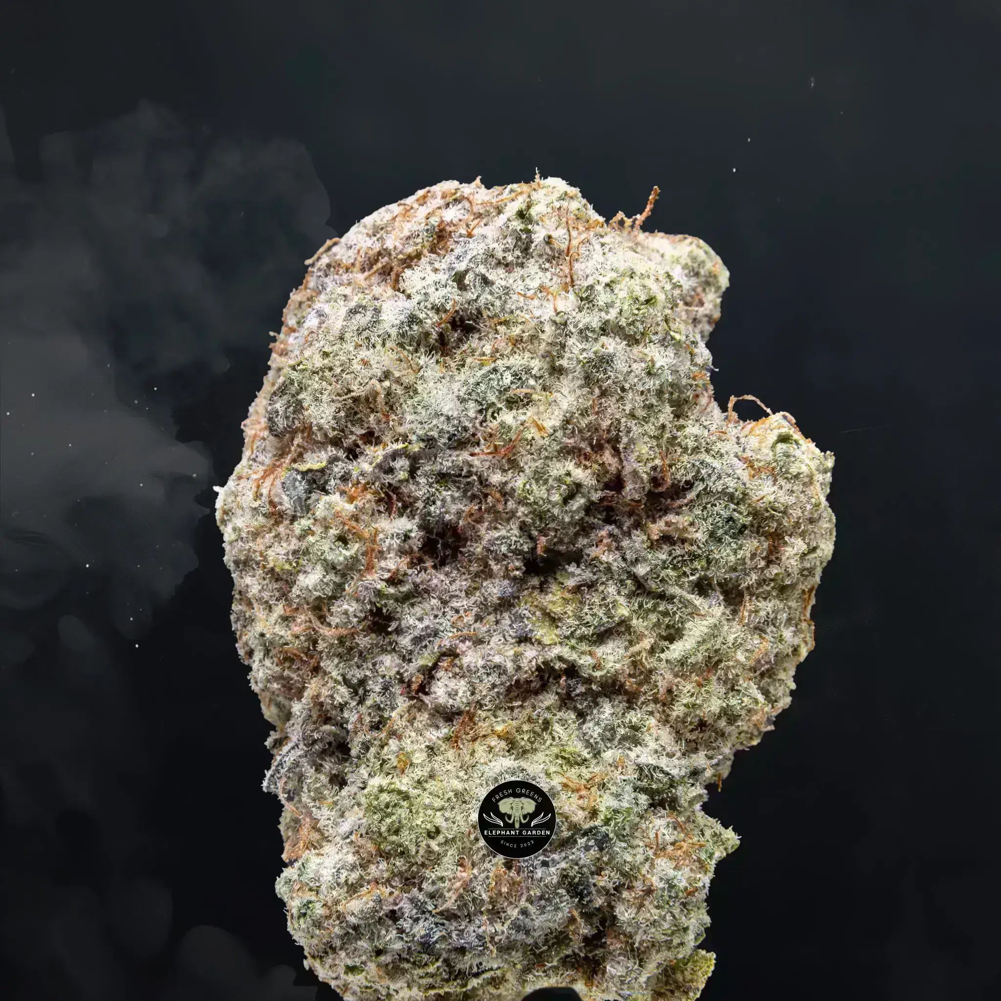 Buy Grape Stomper at Elephant Garden Co Weed Dispensary Close 8 19 24 3