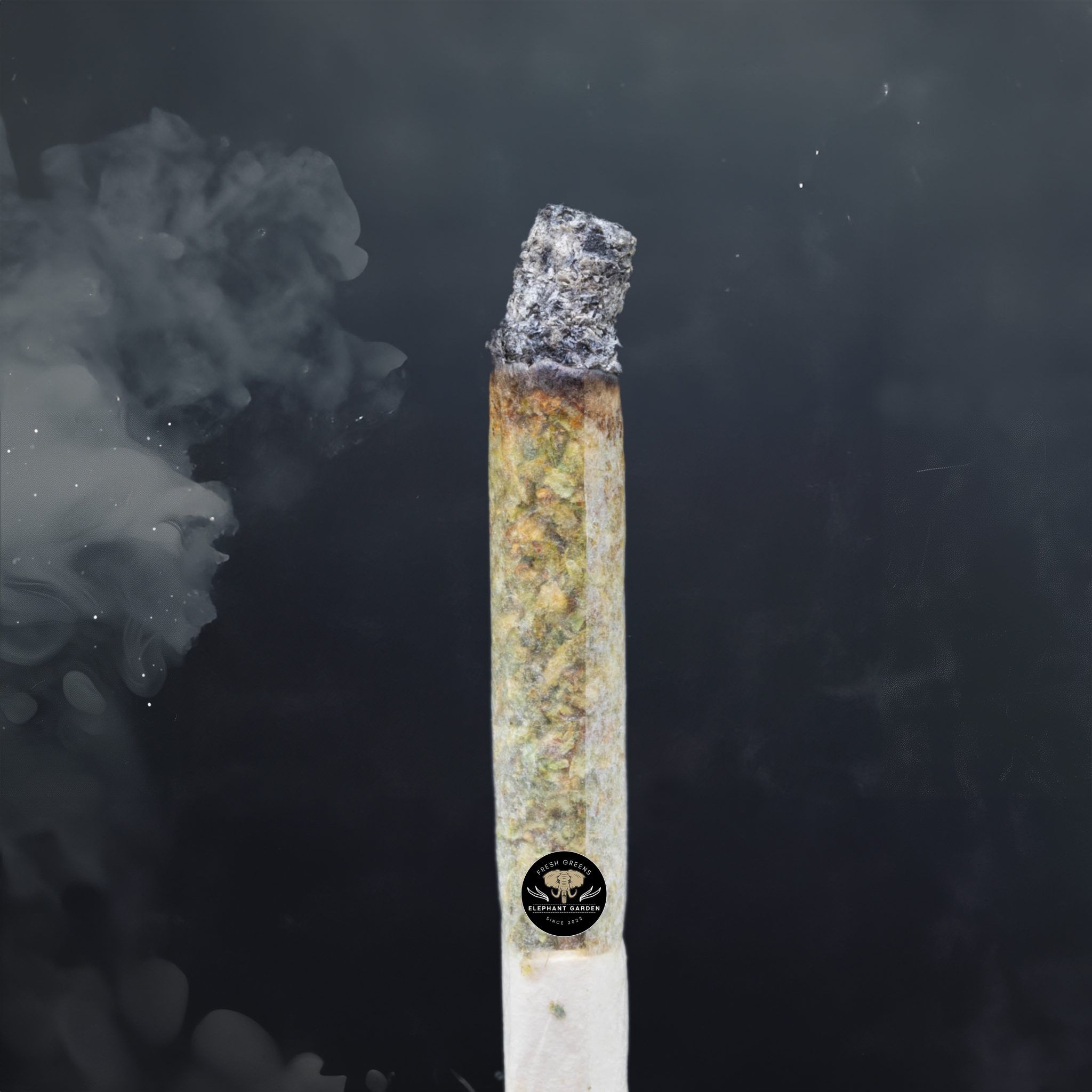 Buy Pineapple Jack at Elephant Garden Co Weed Dispensary Burn Test 4 18 2024 2