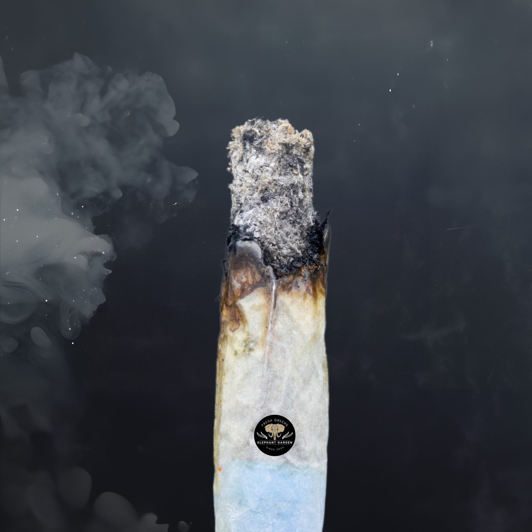 Buy Platinum Pink at Elephant Garden Co Weed Dispensary Burn Test 4 24 2024 2