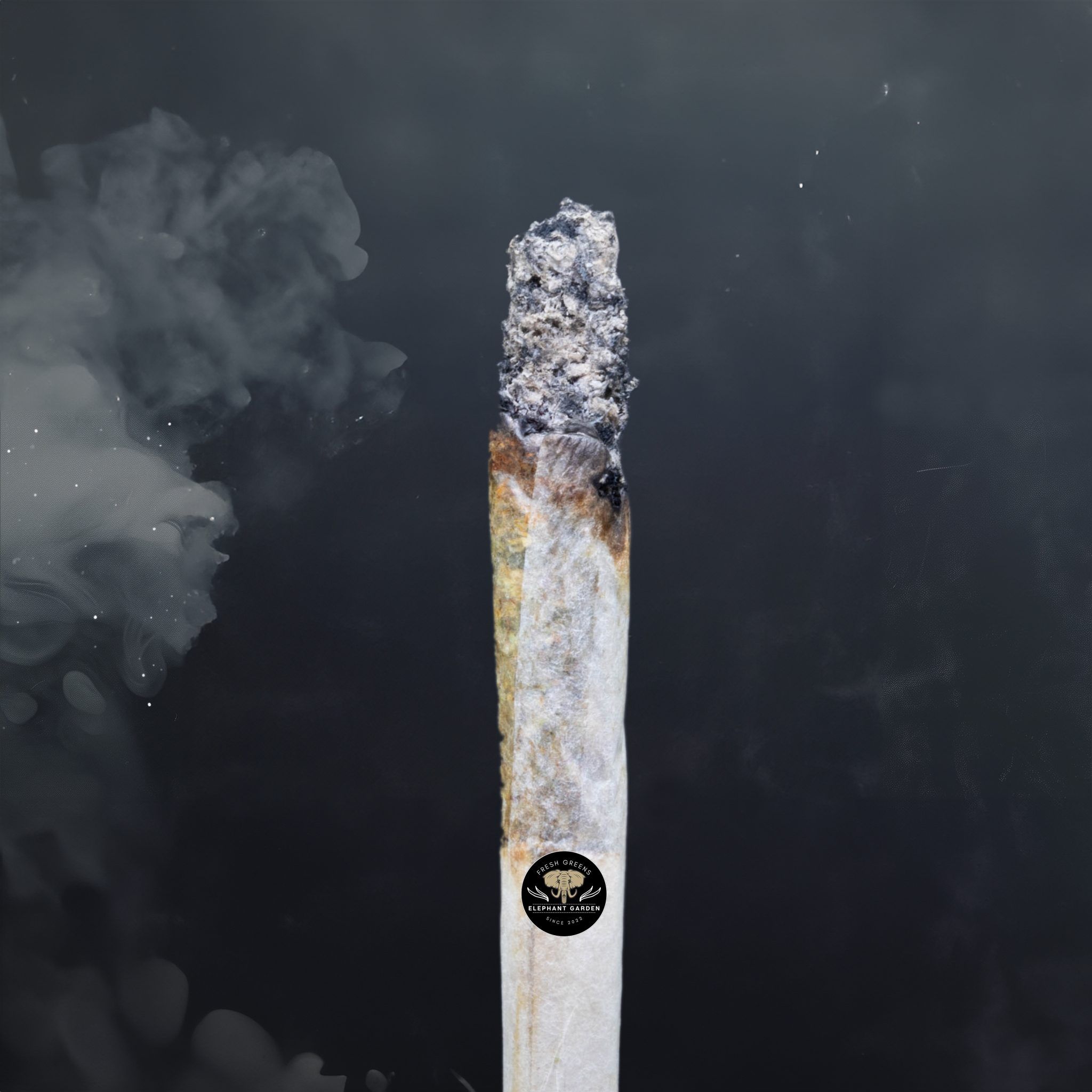 Buy Purple Cream at Elephant Garden Co Weed Dispensary Burn Test 3 21 2024 2