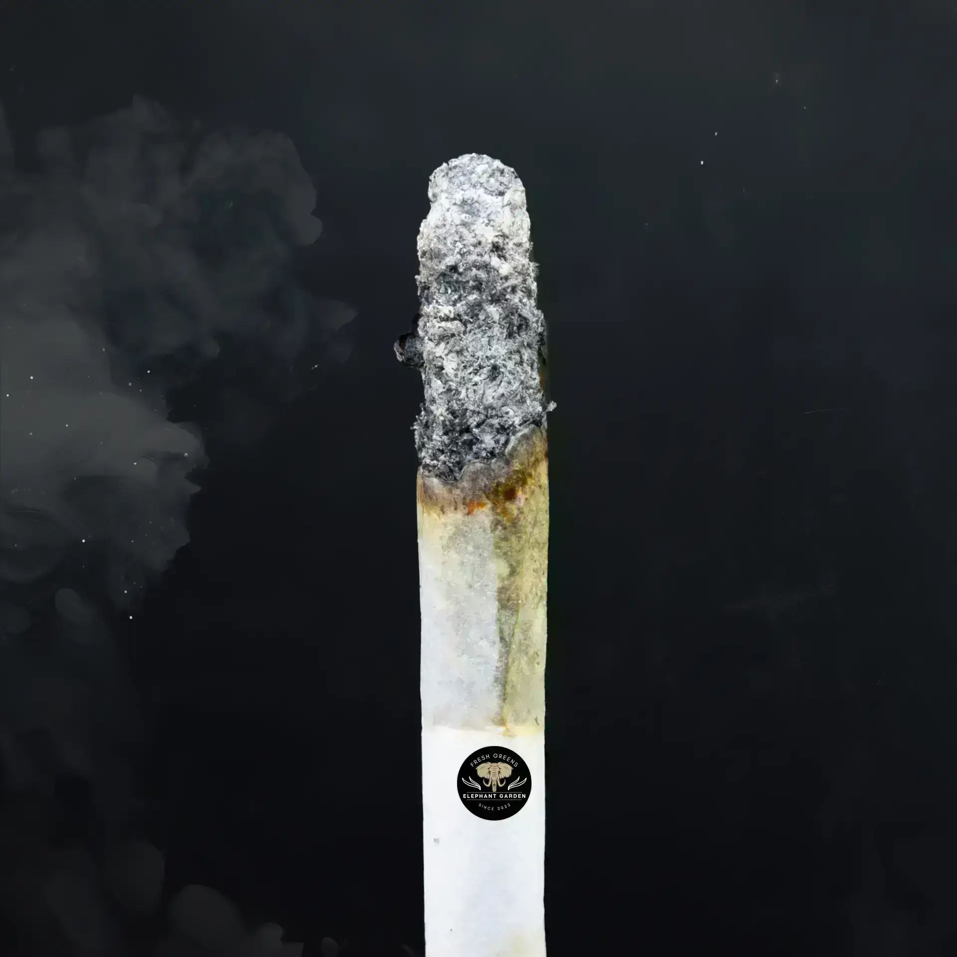 Buy Orange Sorbet at Elephant Garden Co Weed Dispensary Close 8 19 24 2