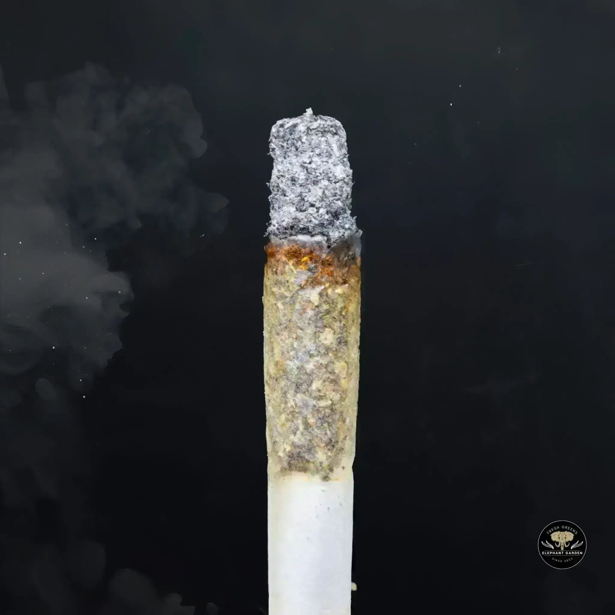 Buy Gas Mask at Elephant Garden Co Weed Dispensary Burn 11 13 24