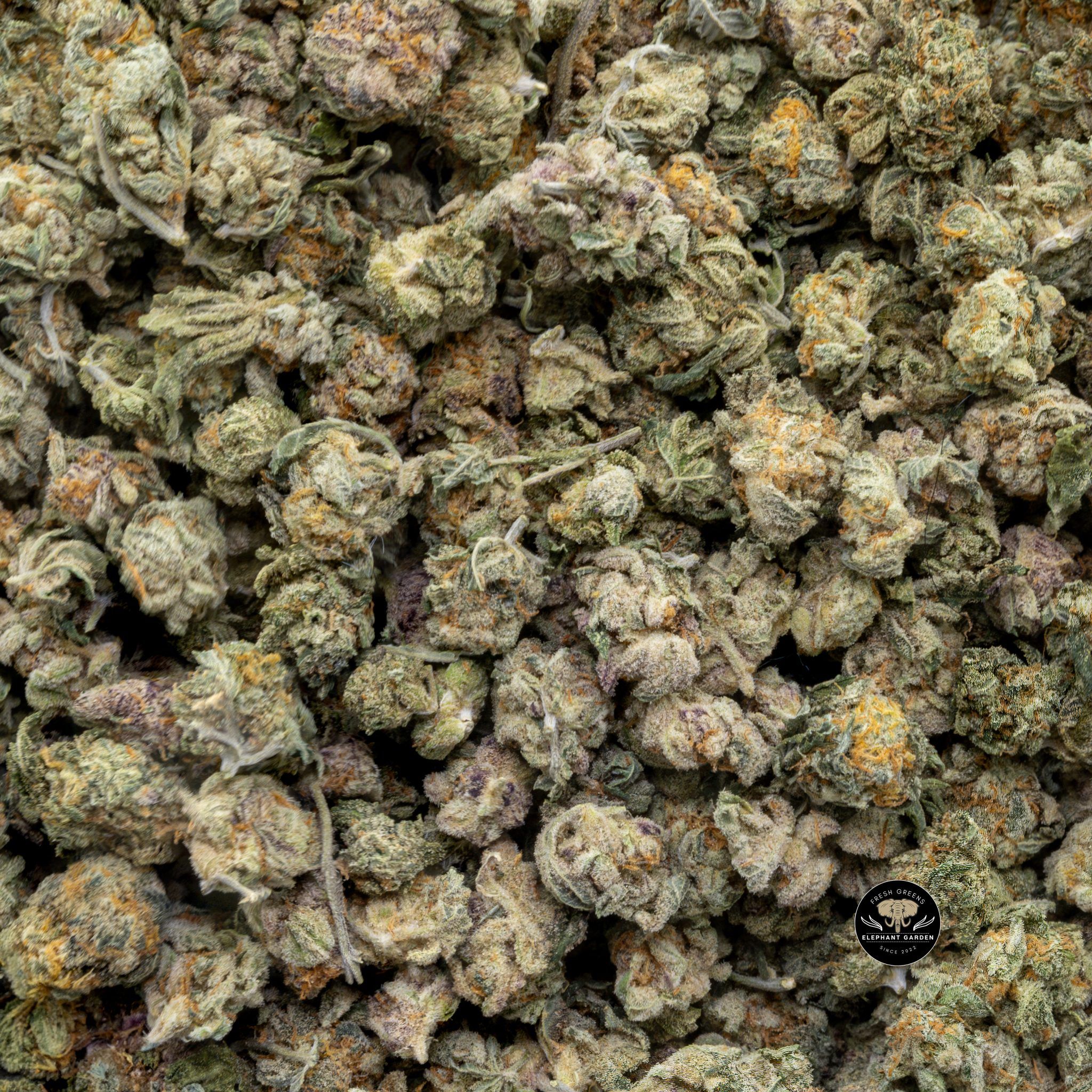 Buy Sour Sherbert (Bulk) at Elephant Garden Co Weed Dispensary Close 4 26 2024