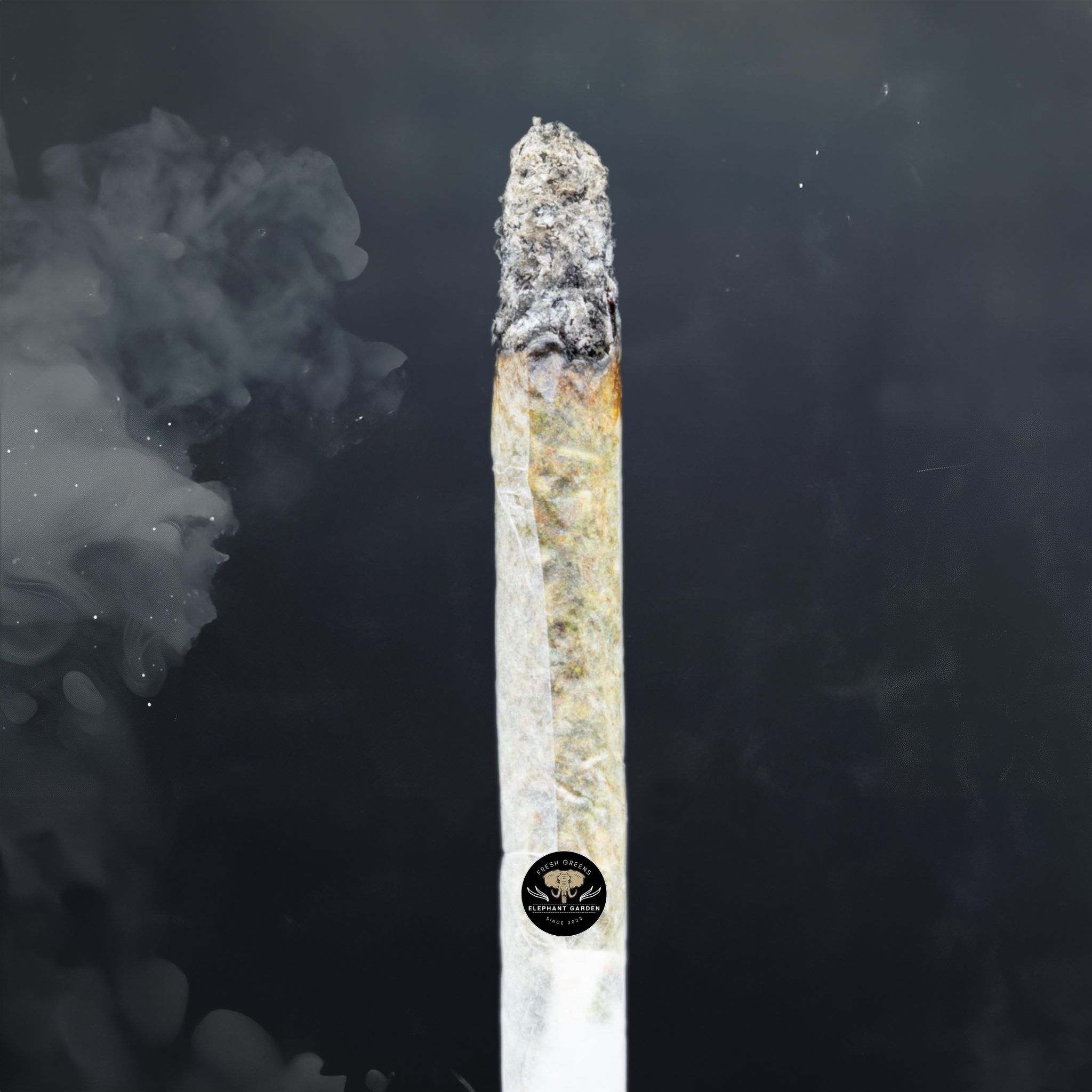 Buy Sour Sherbert at Elephant Garden Co Weed Dispensary Burn Test 4 26 2024 2