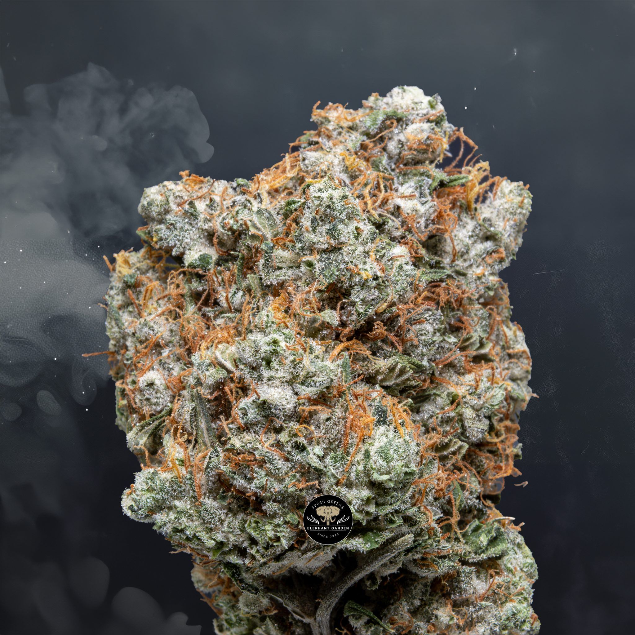 Sour Tahoe - Hybrid - AAAA
