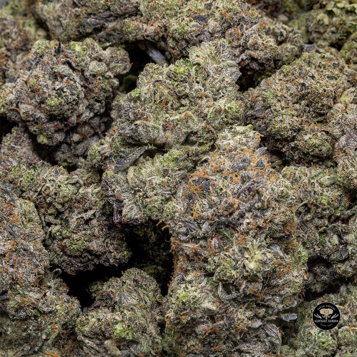 Buy Supreme Death Bubba at Elephant Garden Co Weed Dispensary Bulk 5 15 25 2