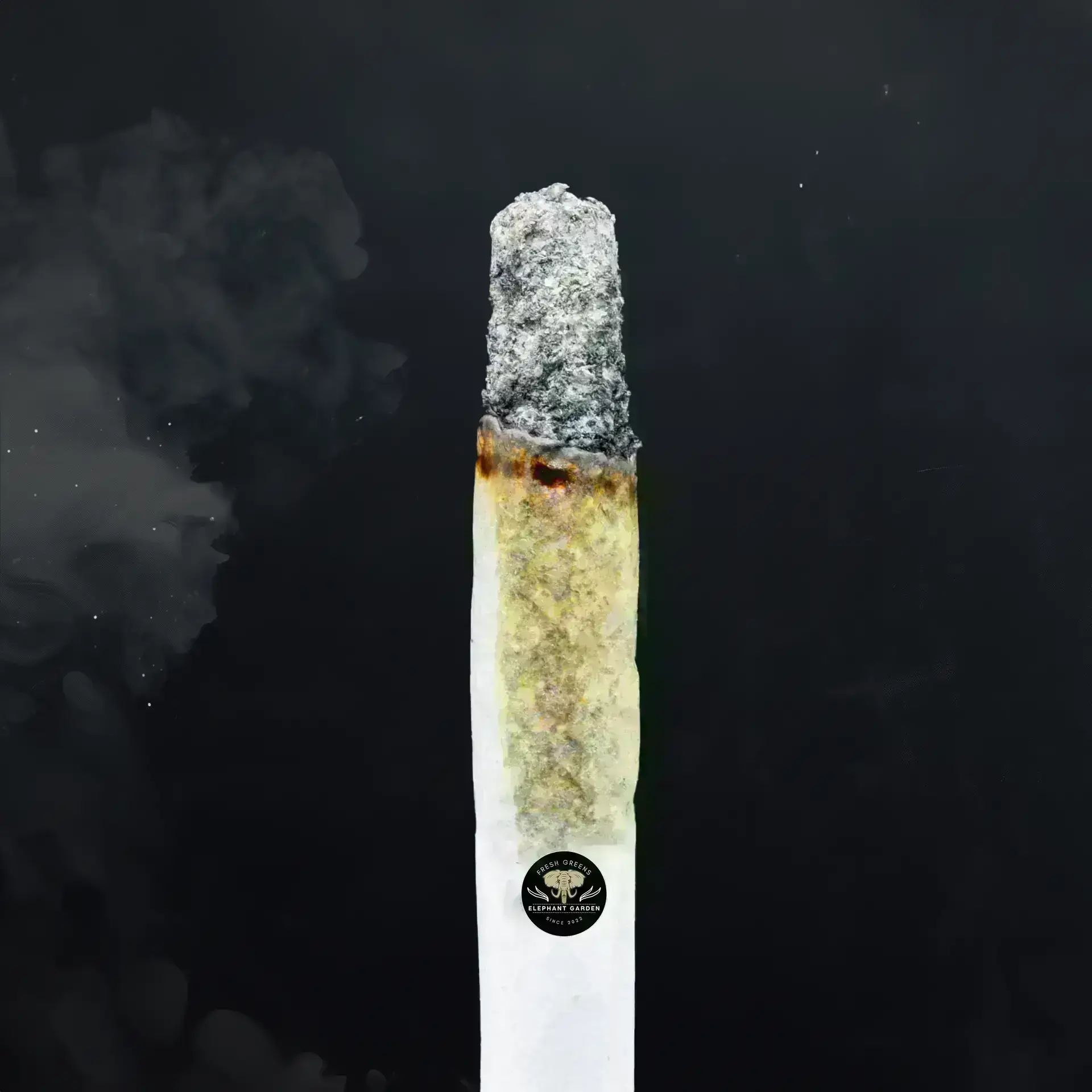 Buy Zookies at Elephant Garden Co Weed Dispensary Close 8 19 24 2