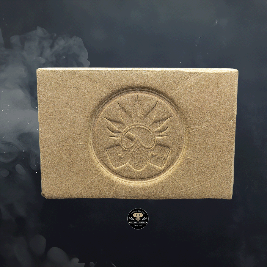 Gas Mask Hash 2 3 26 2024
