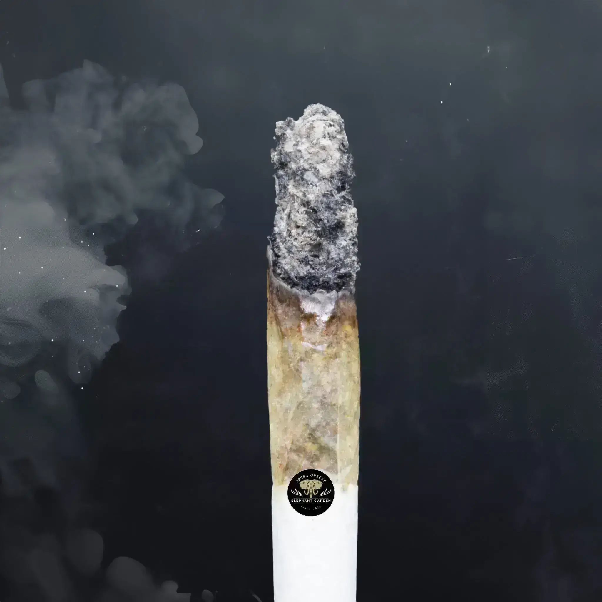 Buy Apple Mac at Elephant Garden Co Weed Dispensary Close 8 19 24 2
